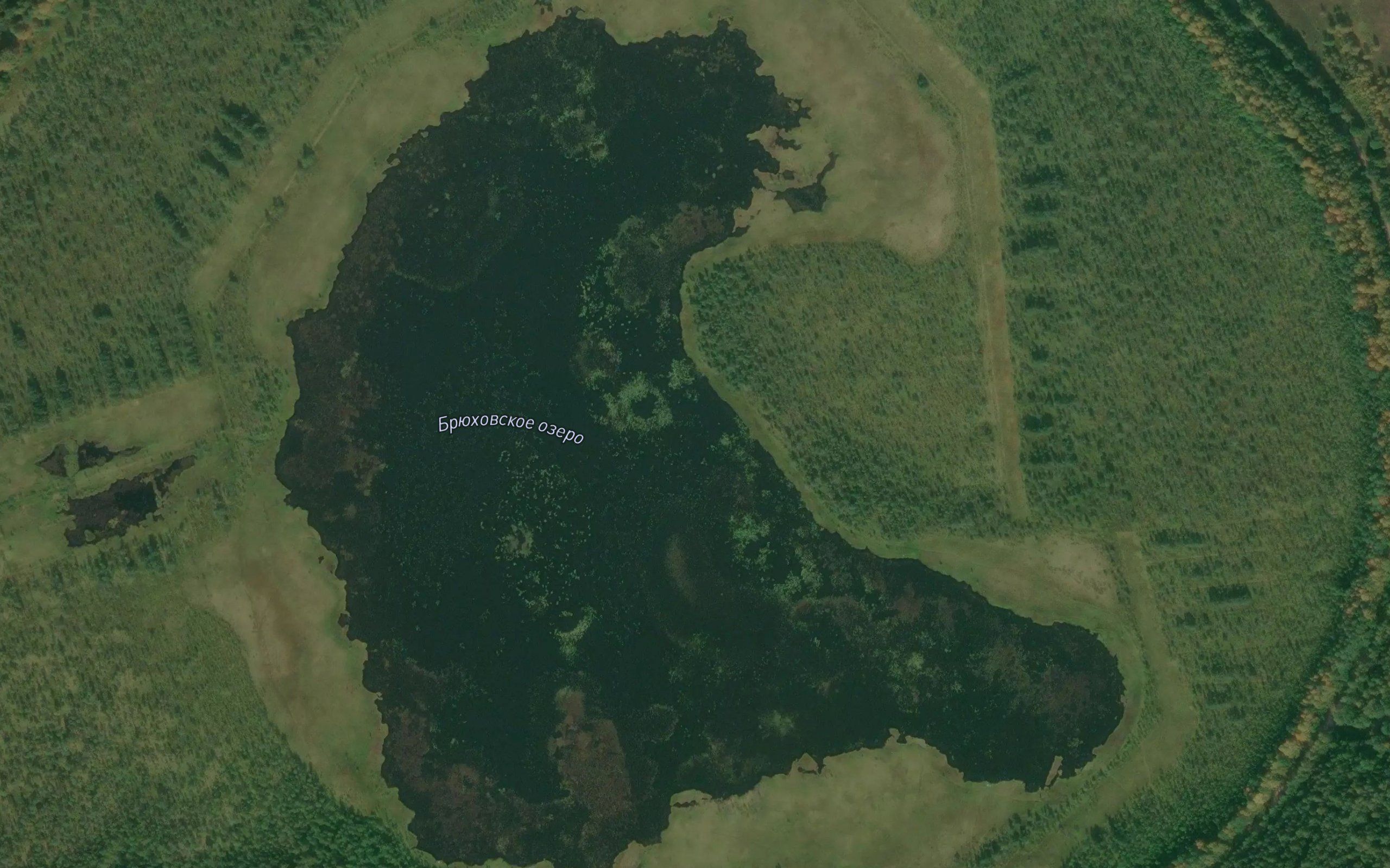 Ozero Bryukhovskoye