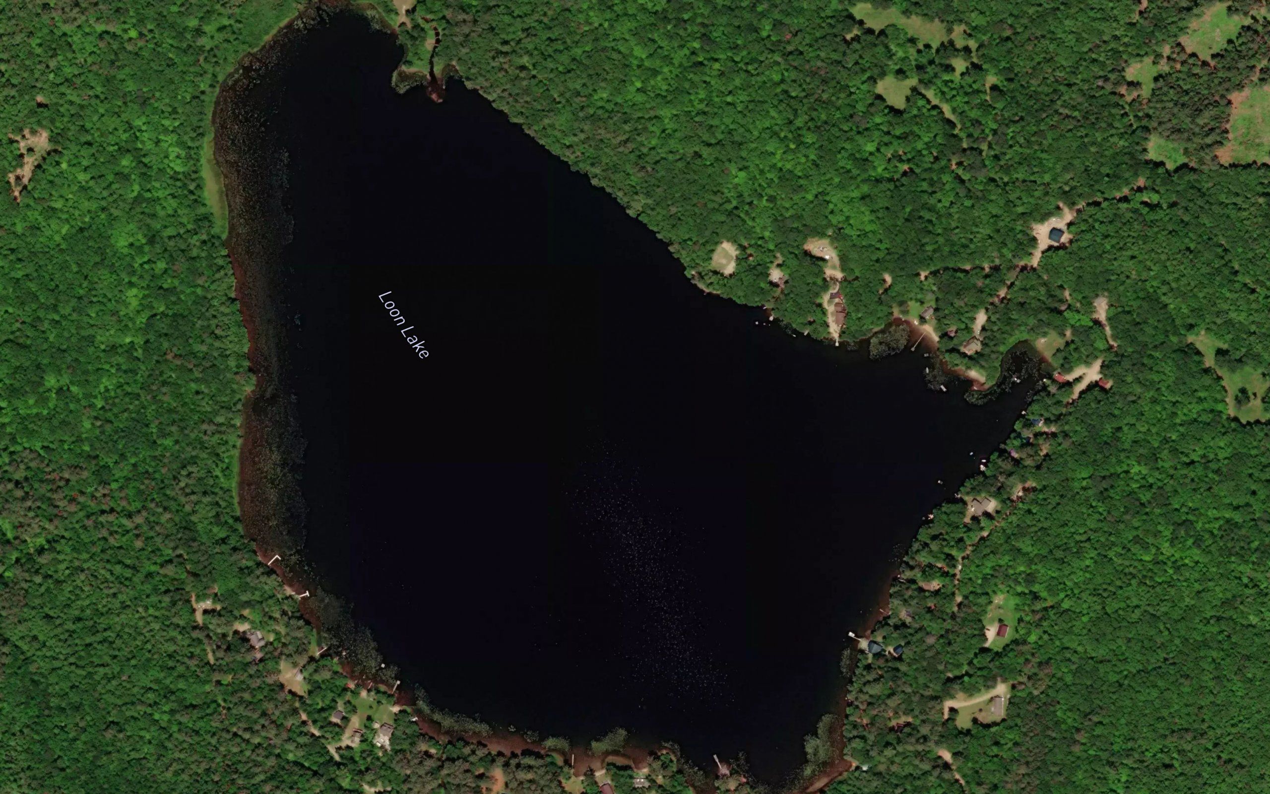 Loon Lake