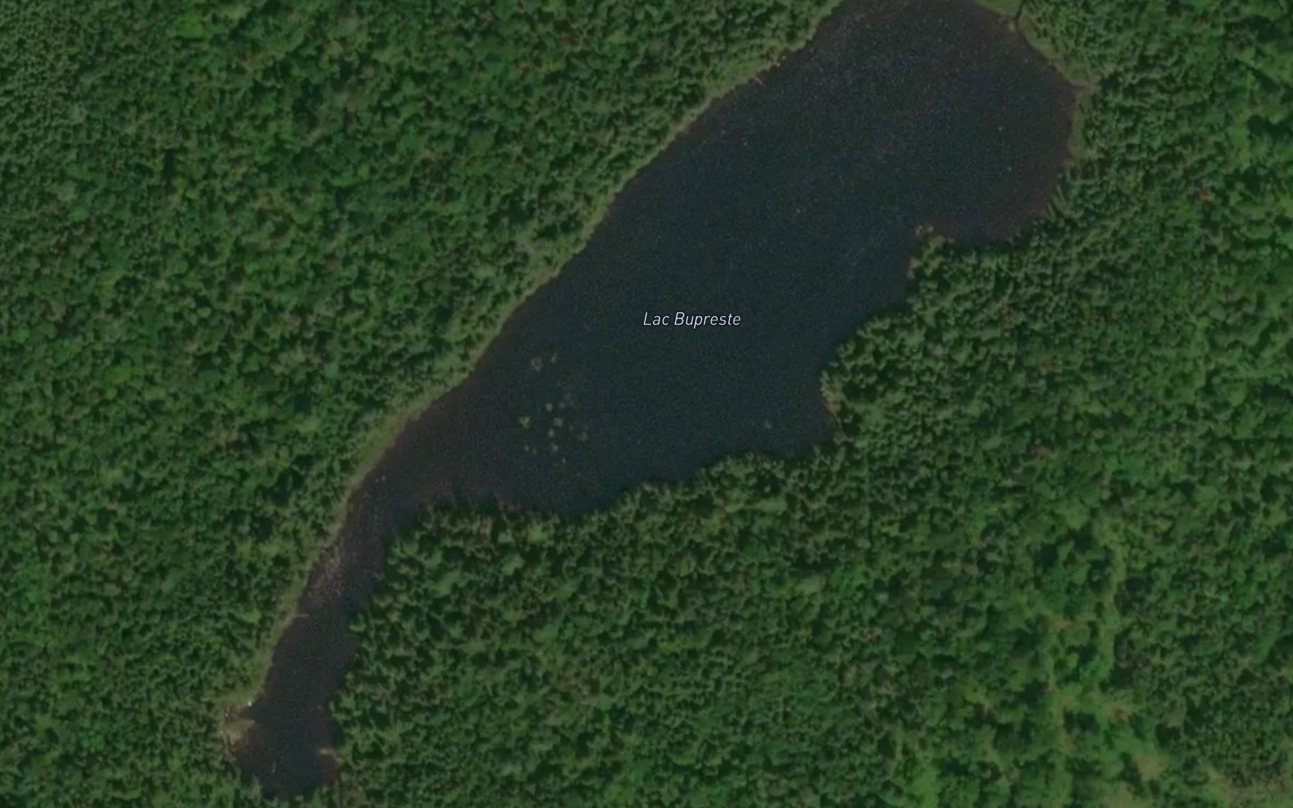 Lac Bupreste