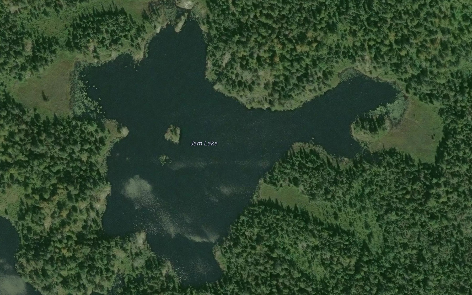 Satellite map of the Jam Lake
