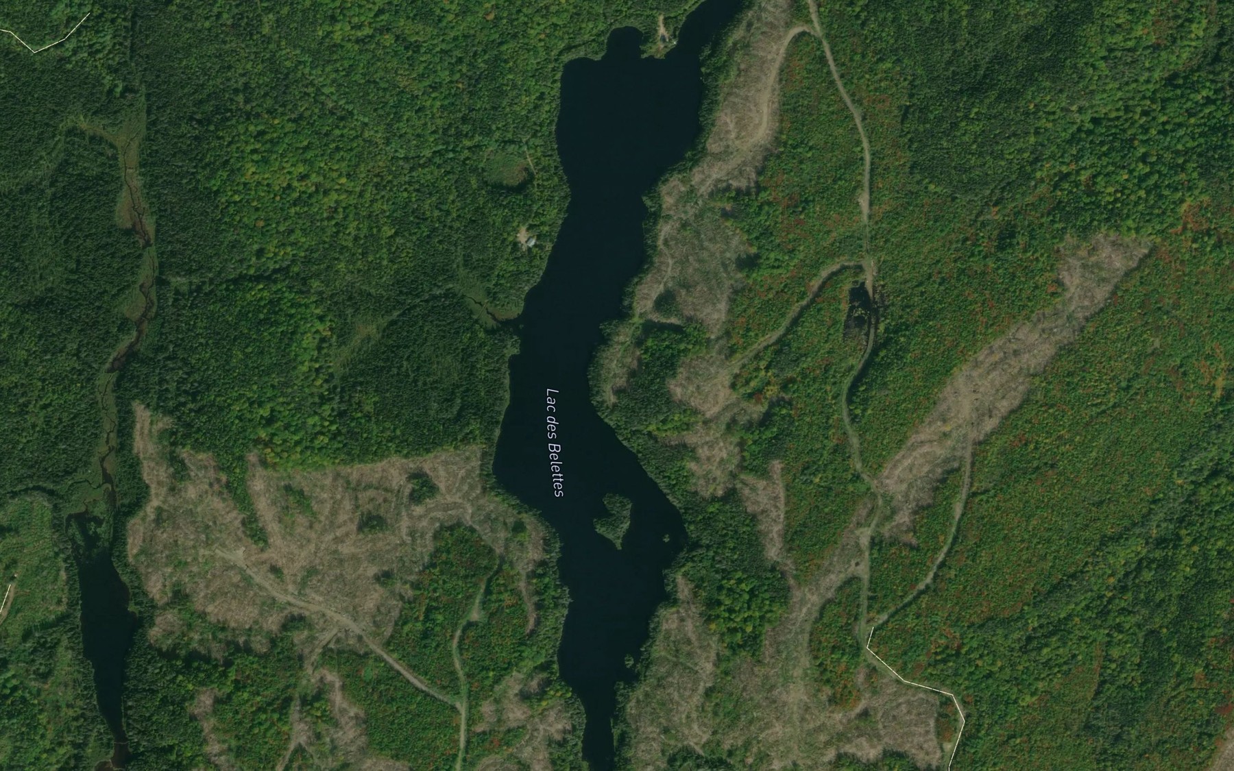 Satellite map of the Lac des Belettes