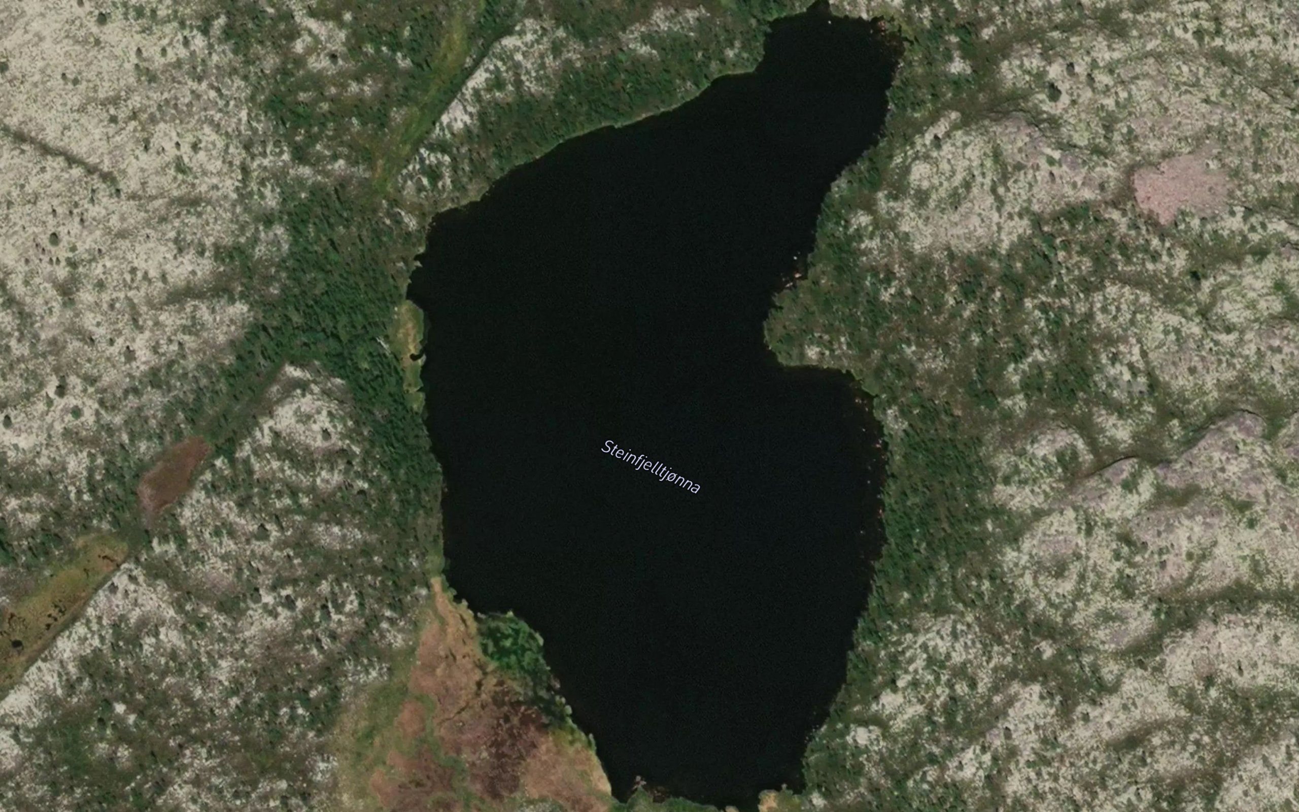 Steinfjelltjorna