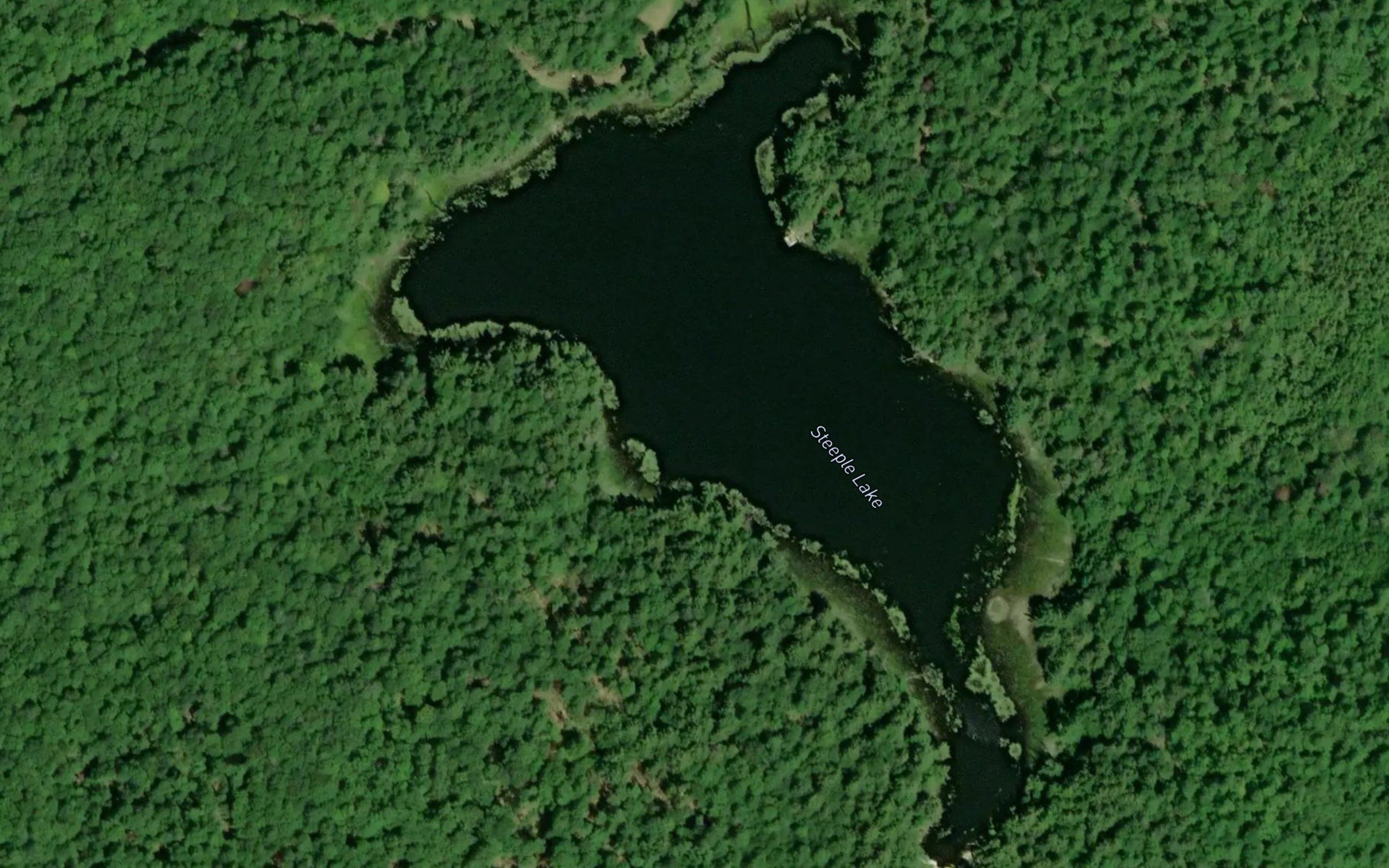 Steeple Lake