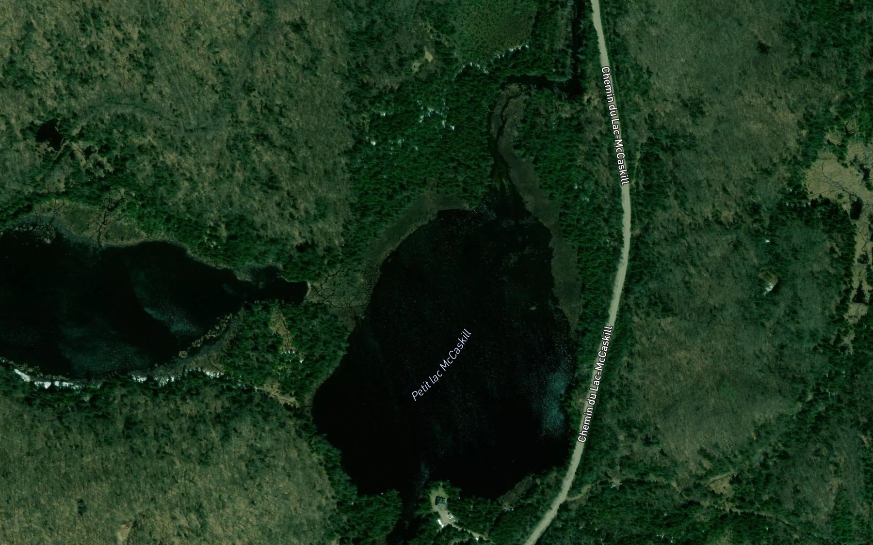 Satellite map of the Petit lac McCaskill