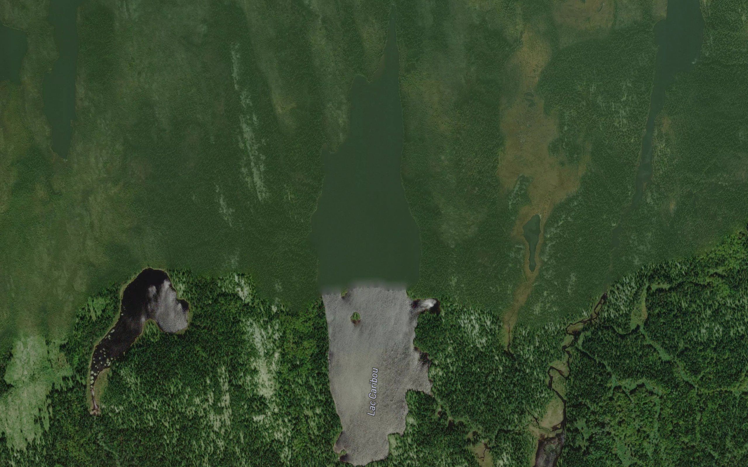 Lac Caribou