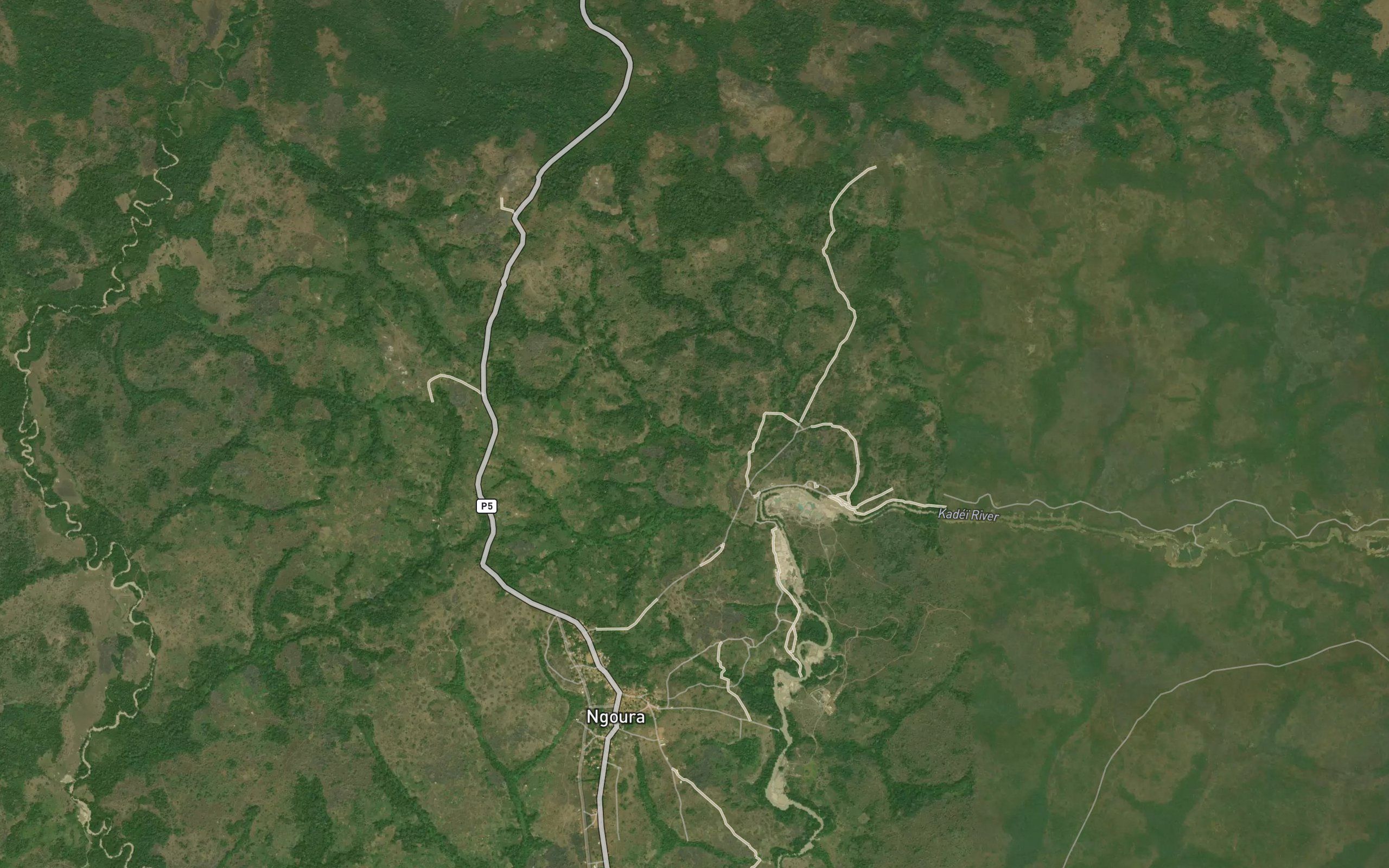Libobo