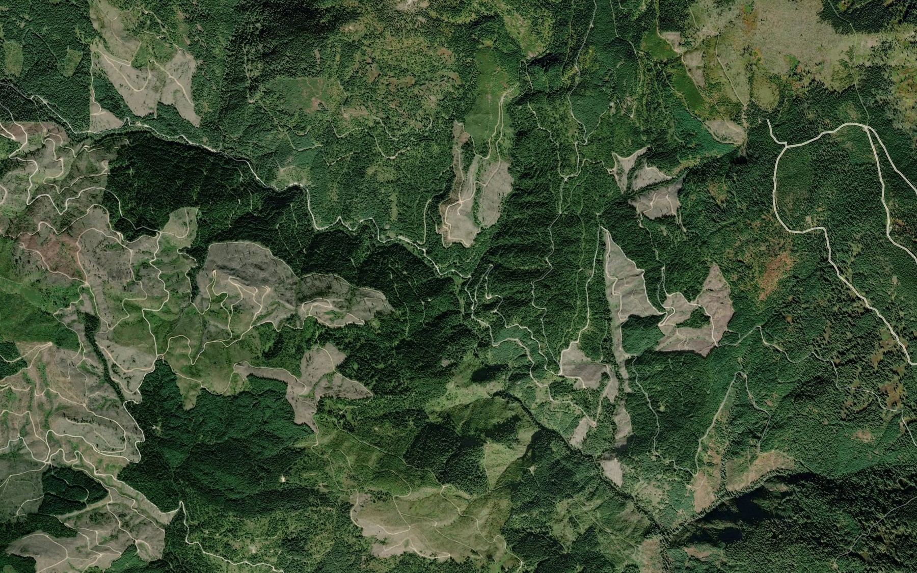 Satellite map of the Homestead Creek