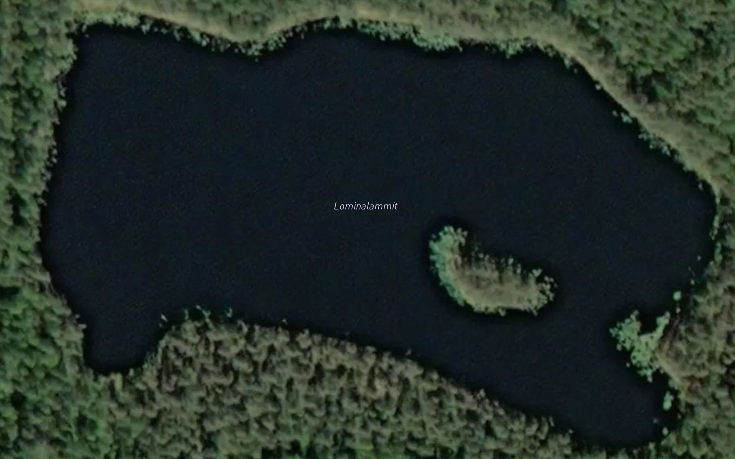 Lominalammit