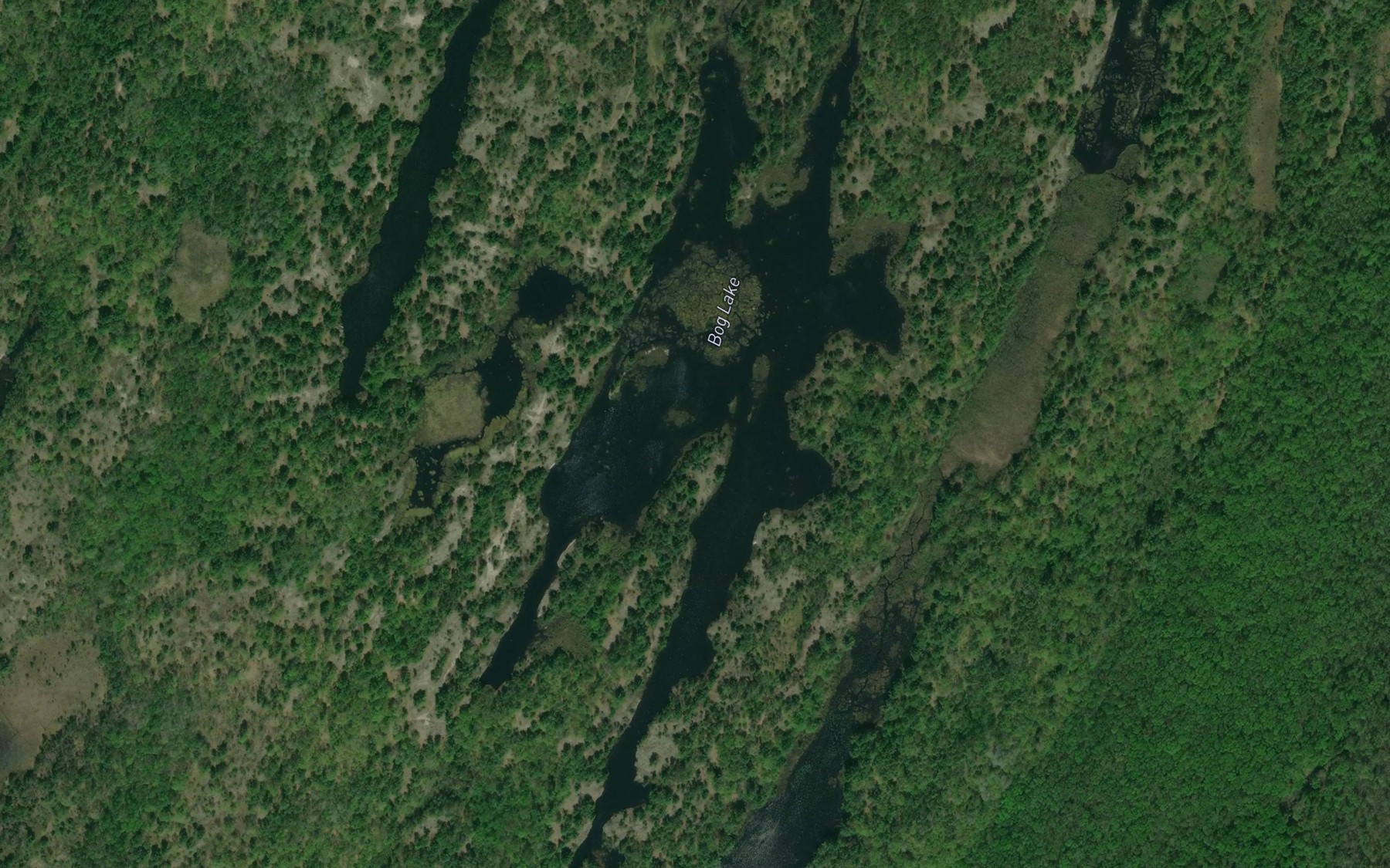 Satellite map of the Bog Lake