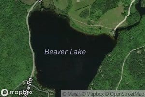 Beaver Lake