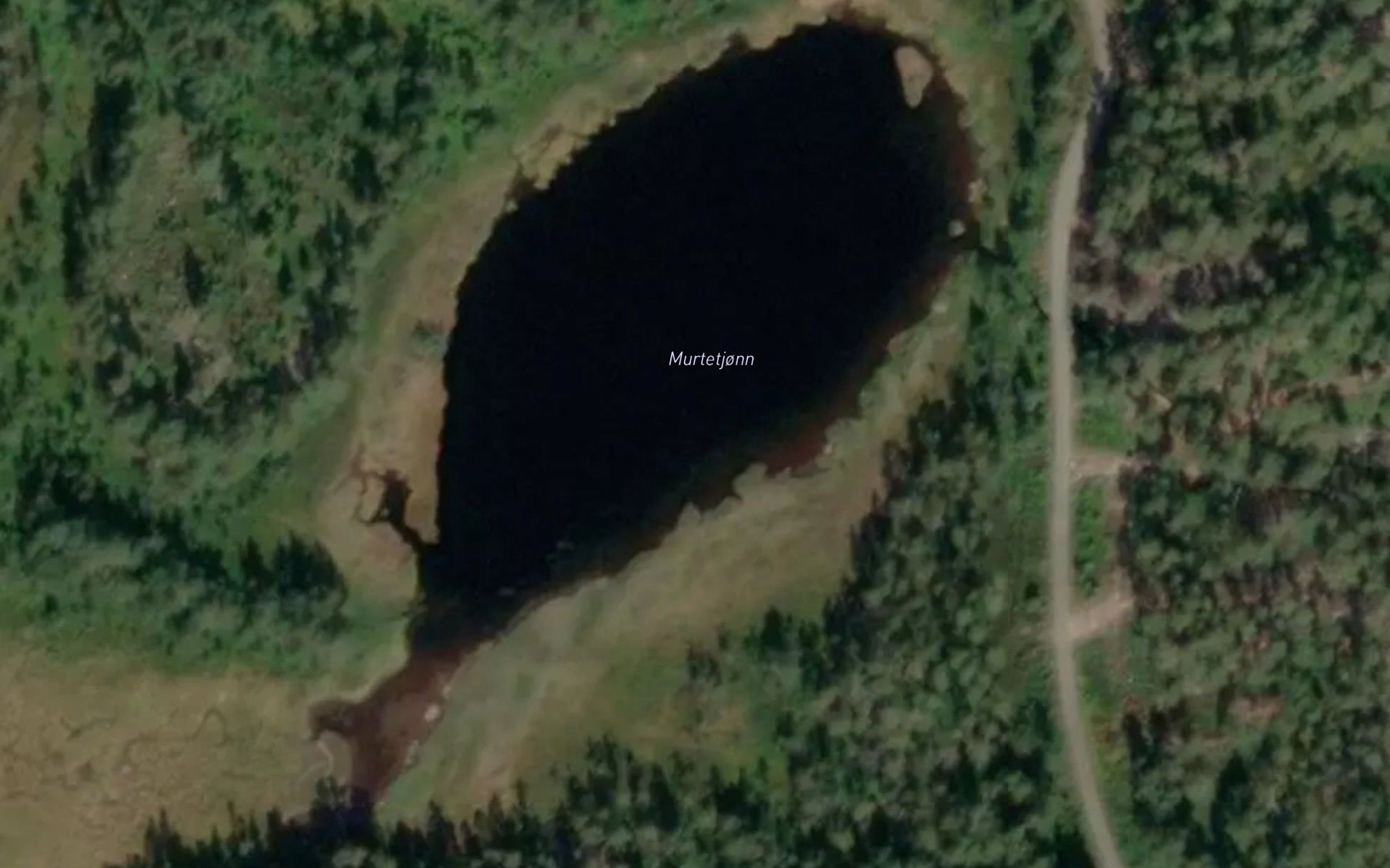 Murtetjorn