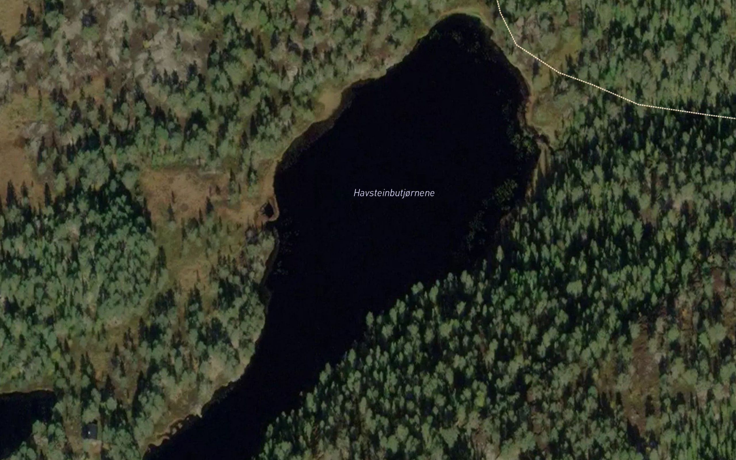 Havsteinbutjornene
