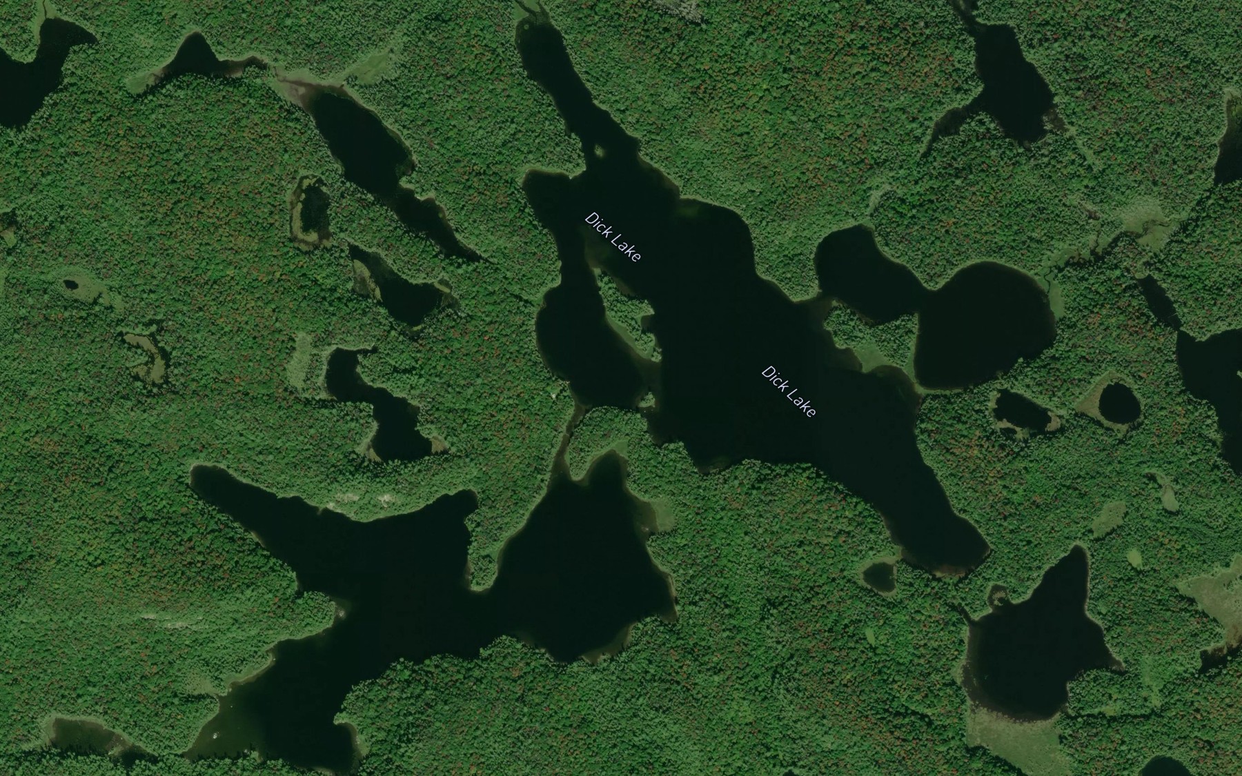 Satellite map of the Dick Lake
