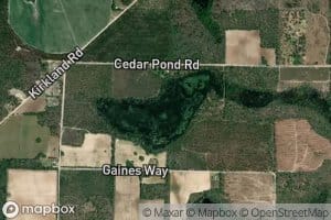 Cedar Pond