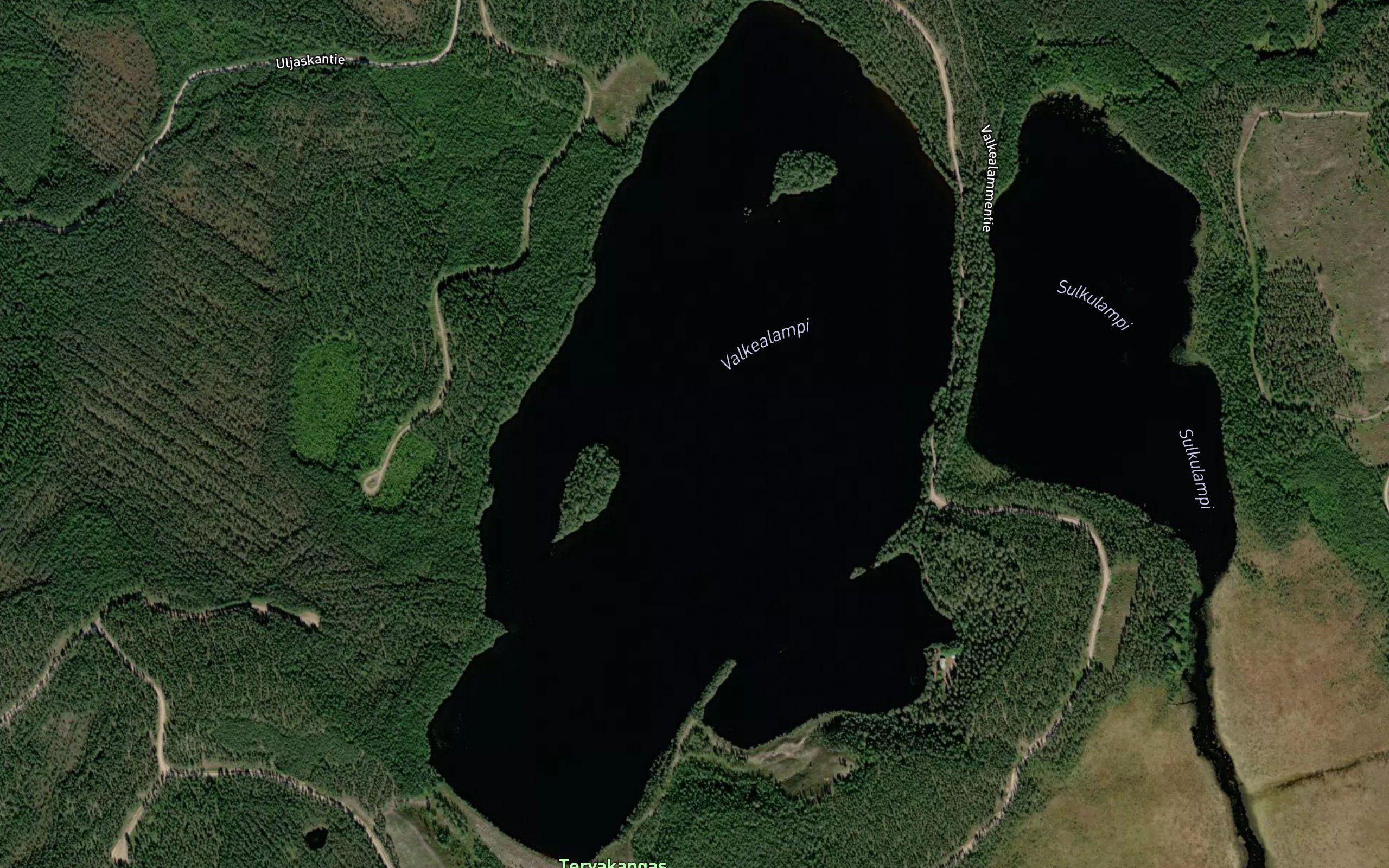 Valkealampi