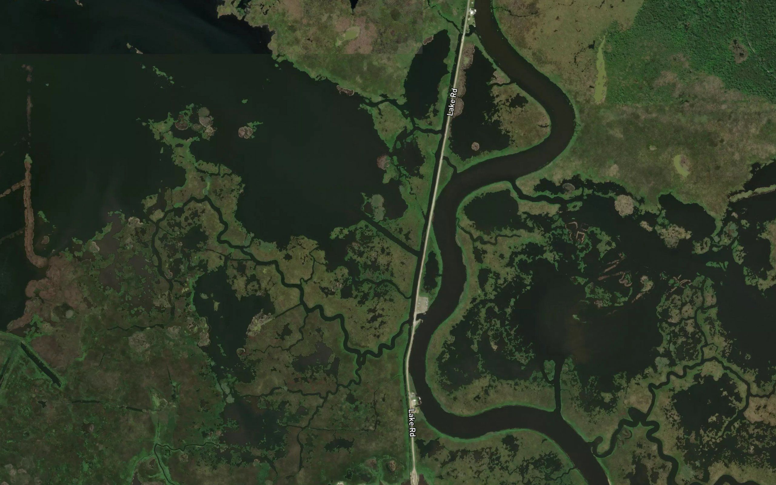 Bayou Laurier