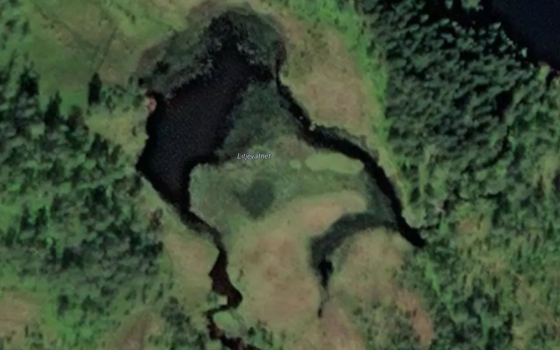Satellite map of the Litjevatnet