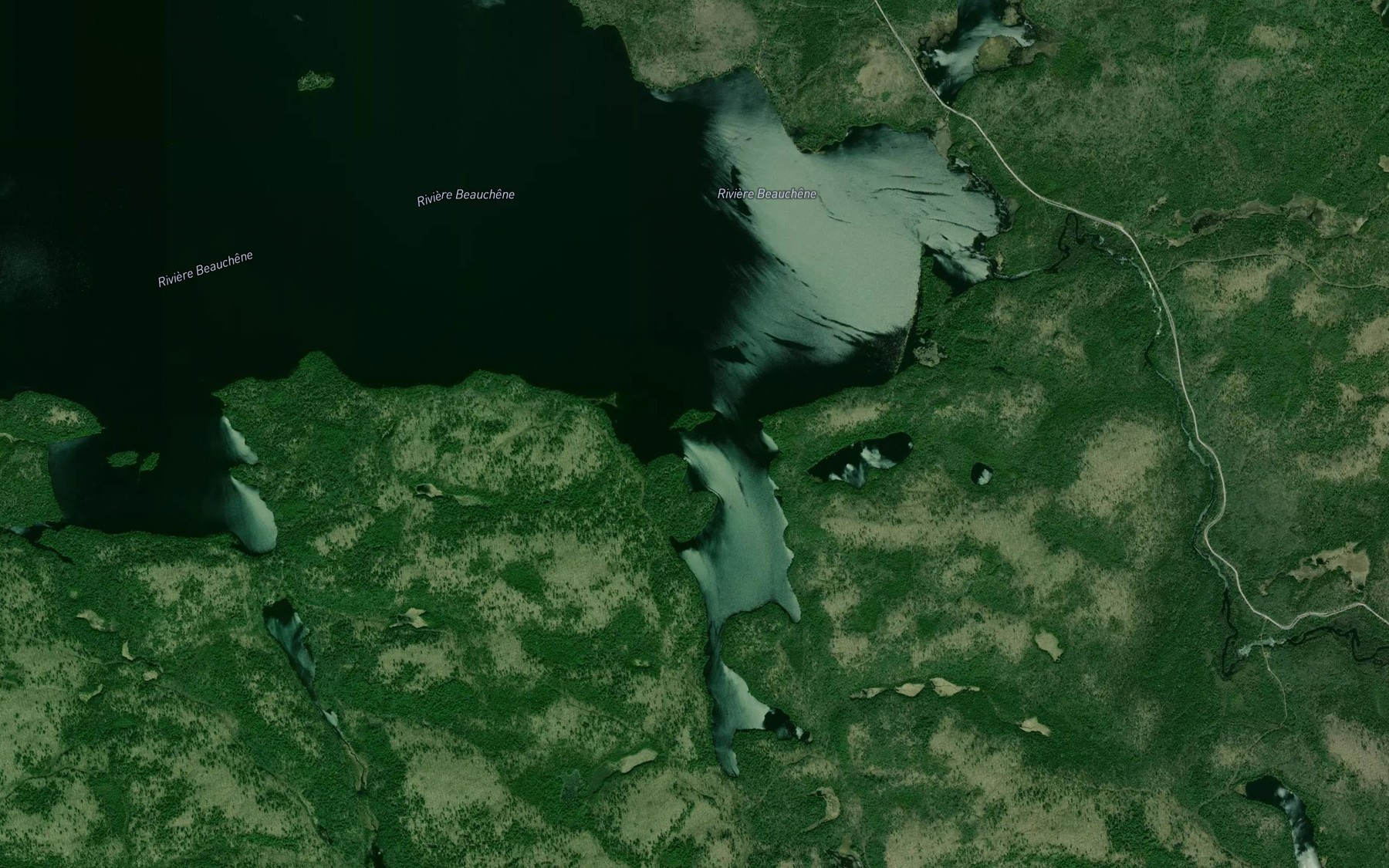 Satellite map of the Baie de l'Ours