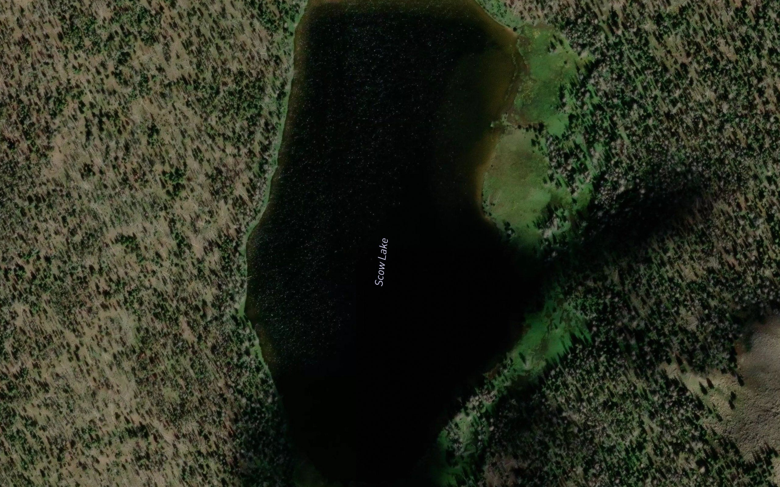 Scow Lake
