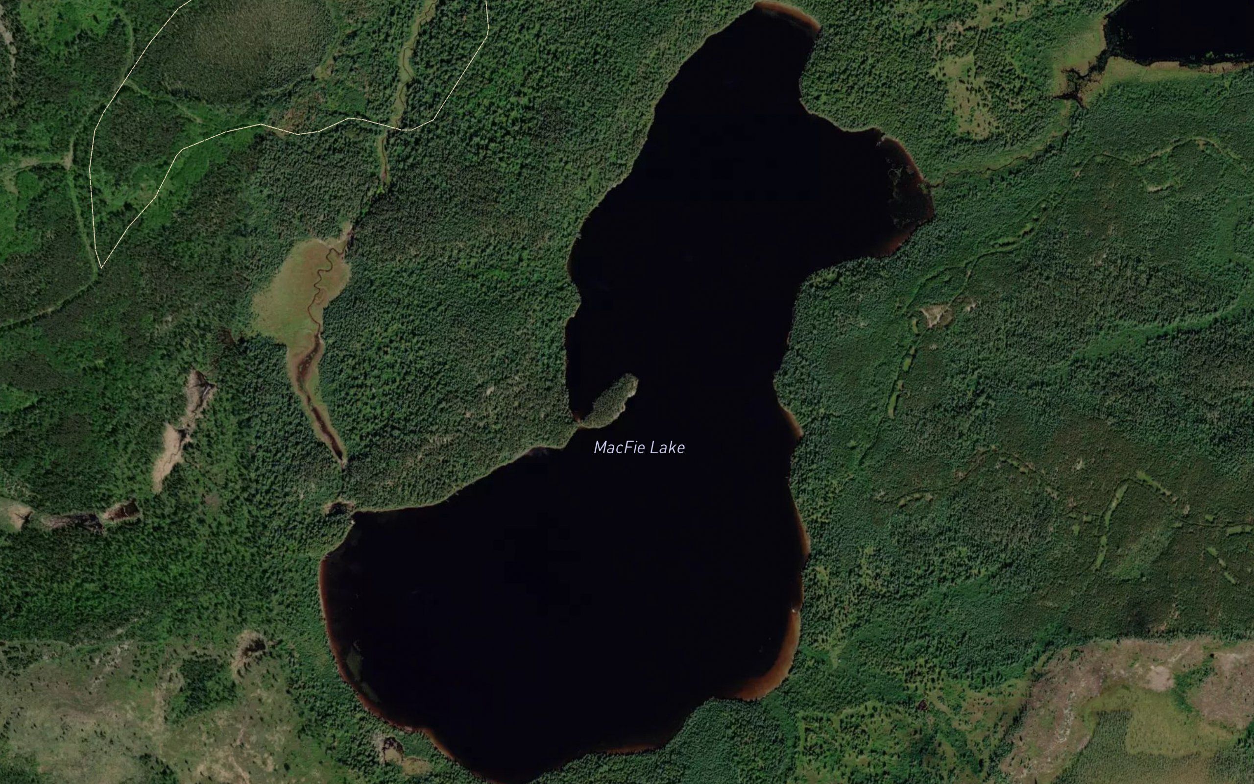 MacFie Lake