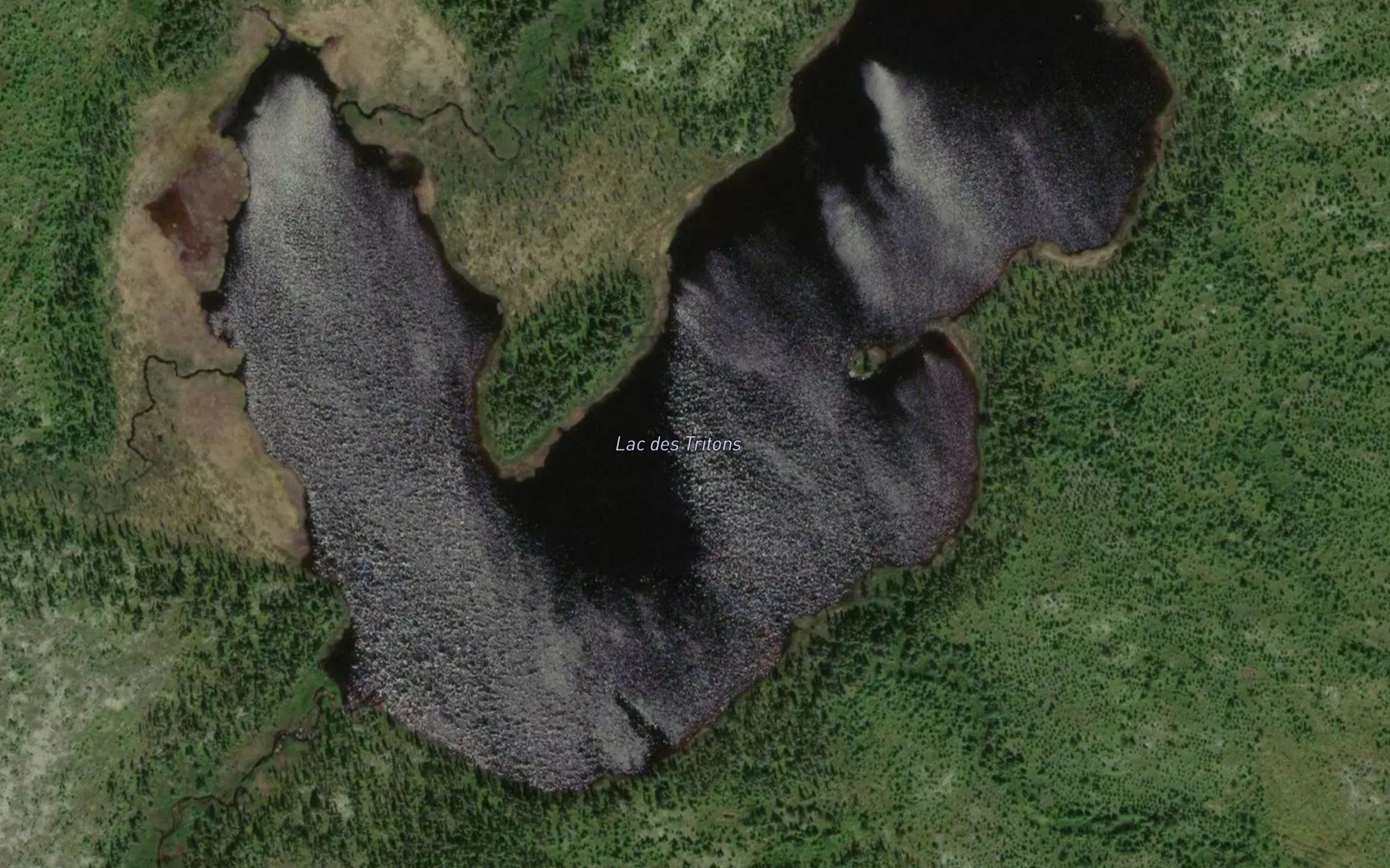 Lac des Tritons