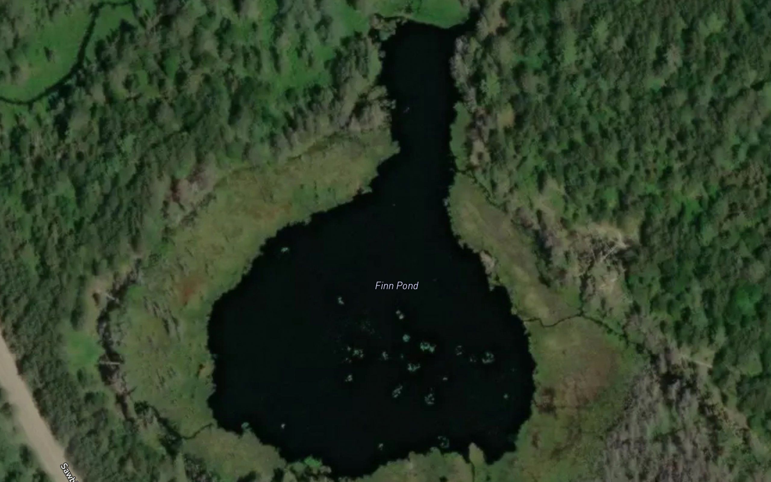 Finn Pond