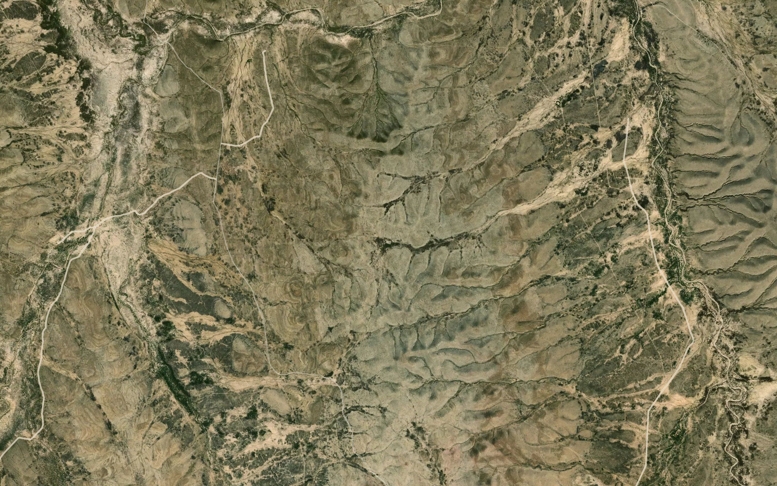 Mirasoles
