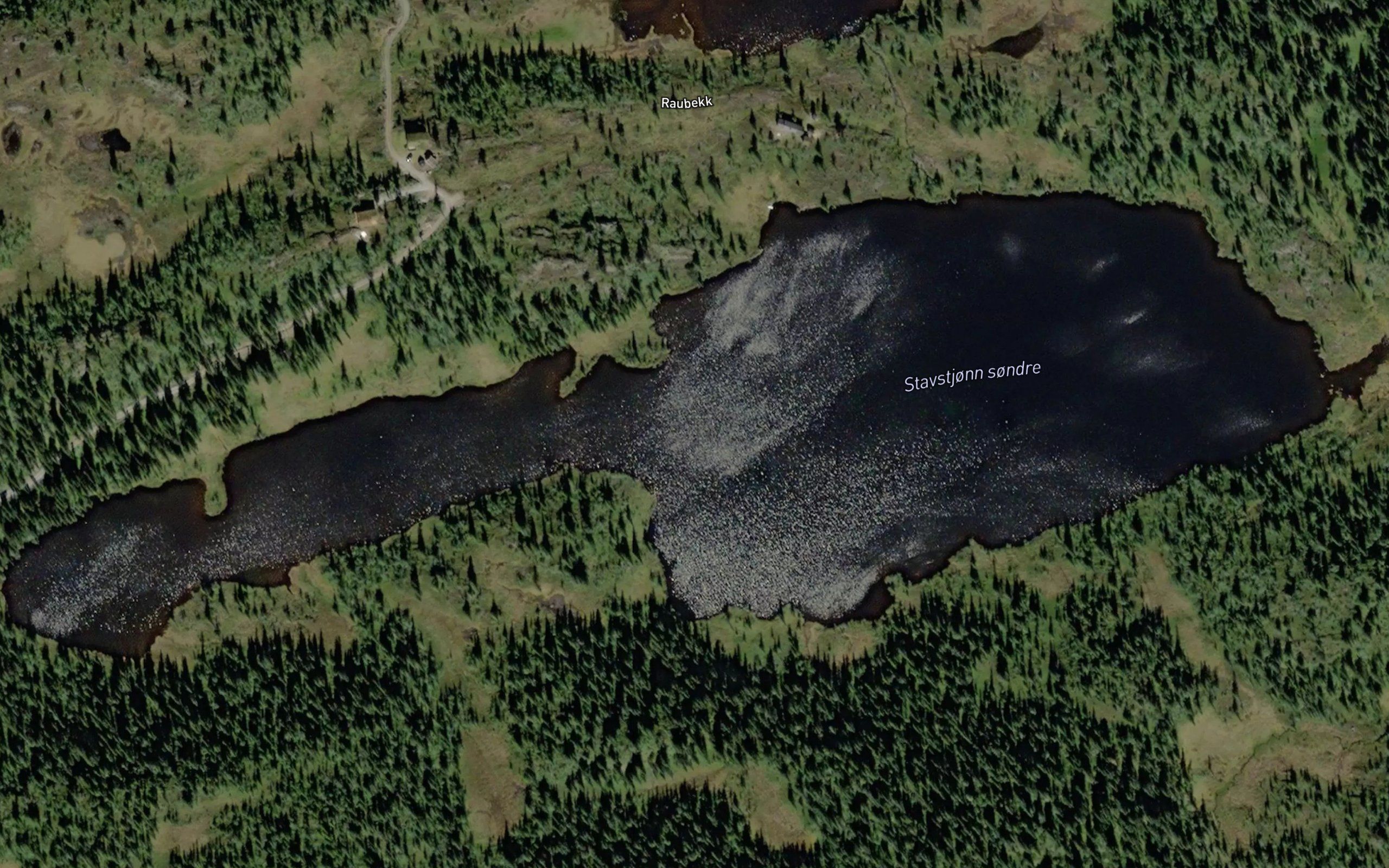 Stavstjornan