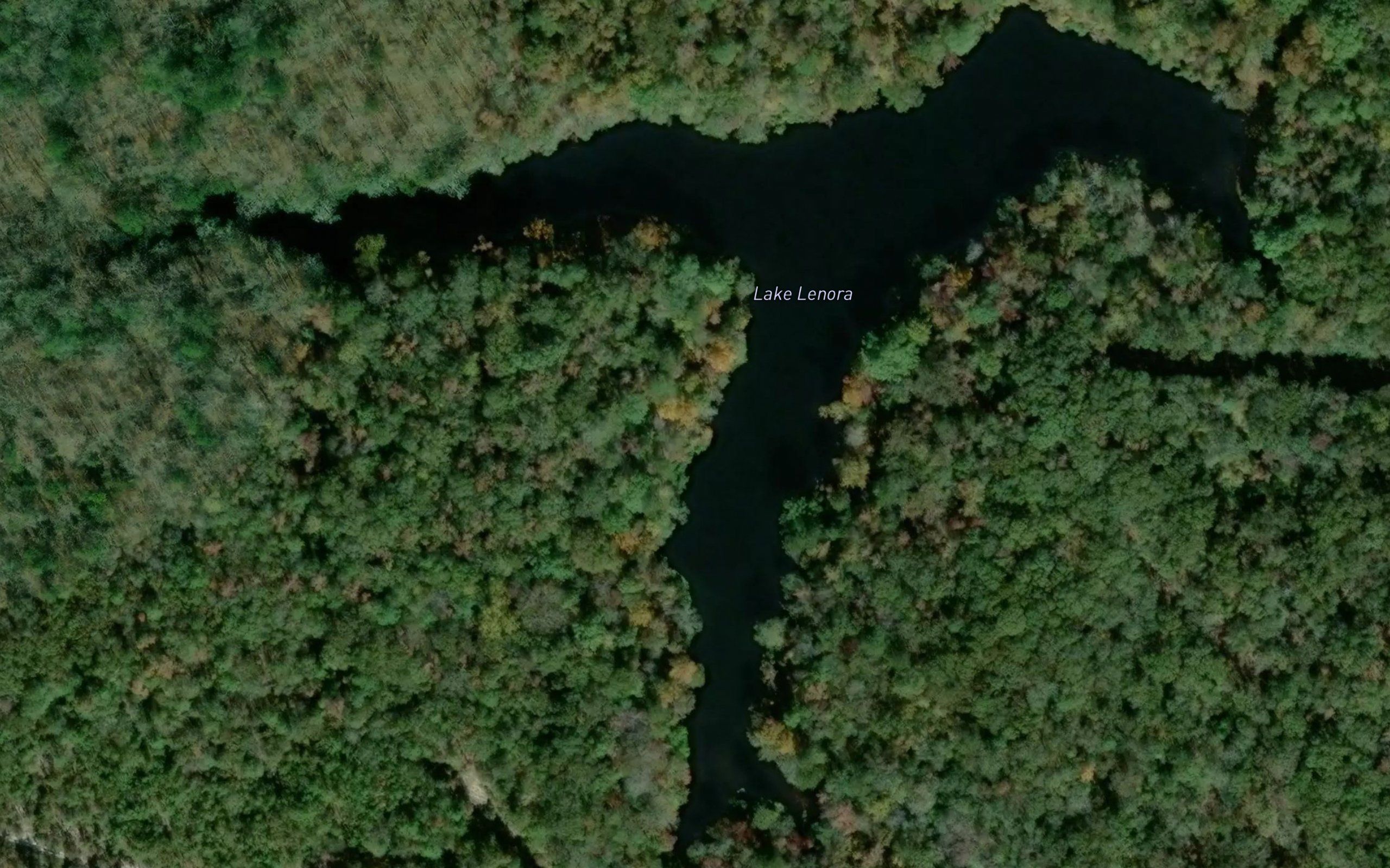 Lake Lenora