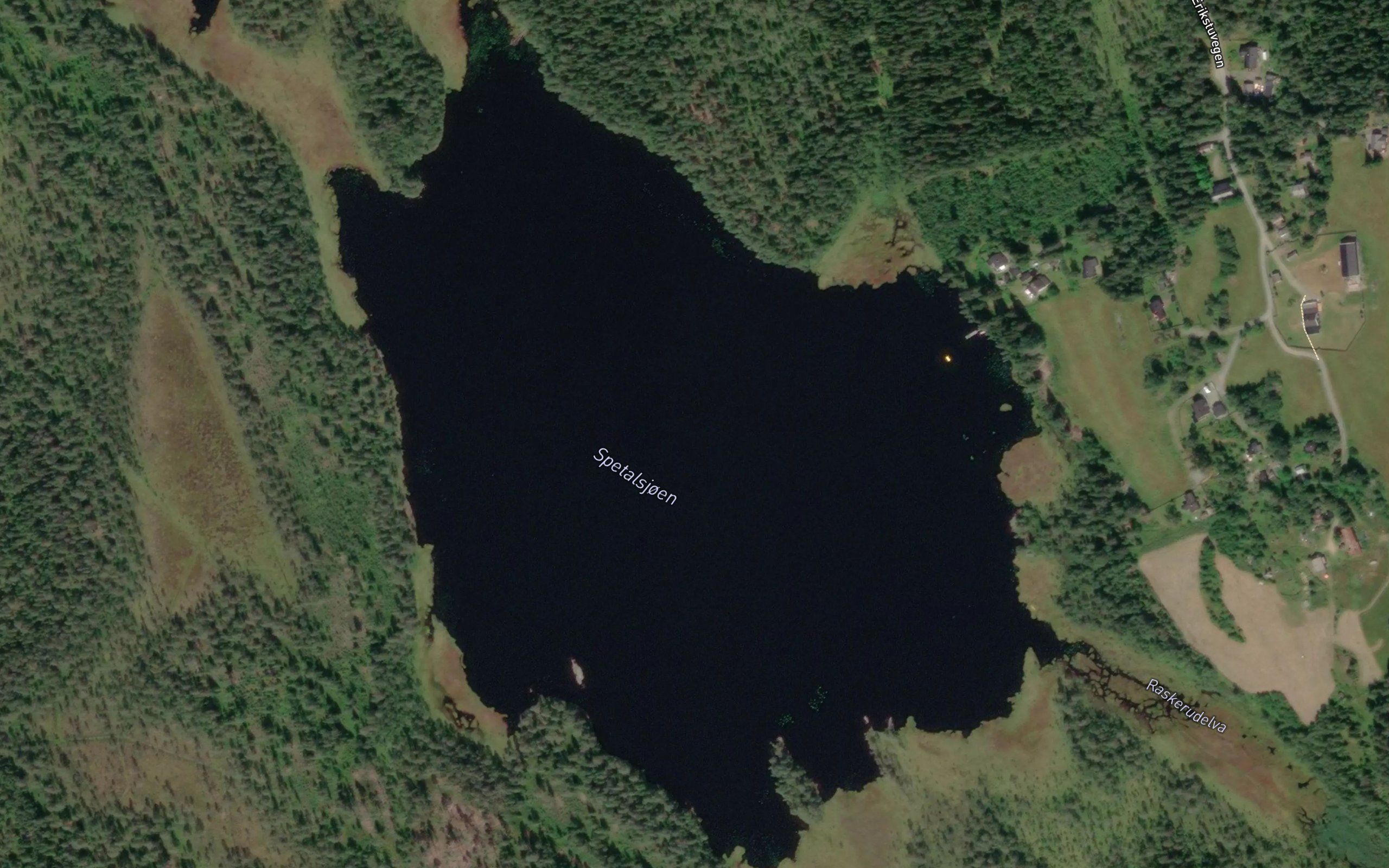 Spetalsjoen