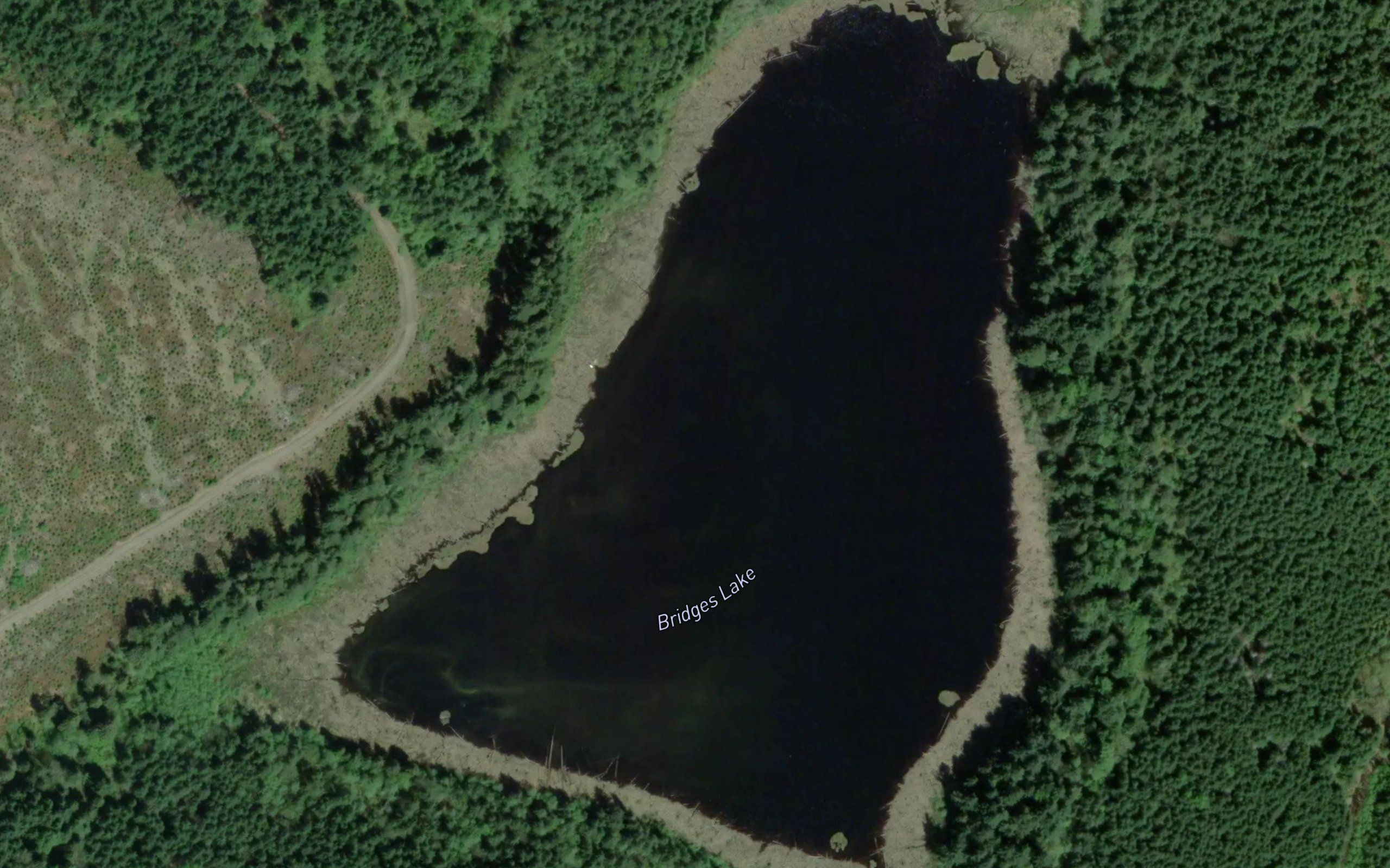 Bridges Lake