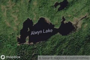 Alwyn Lake