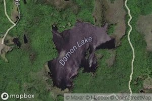 Damon Lake