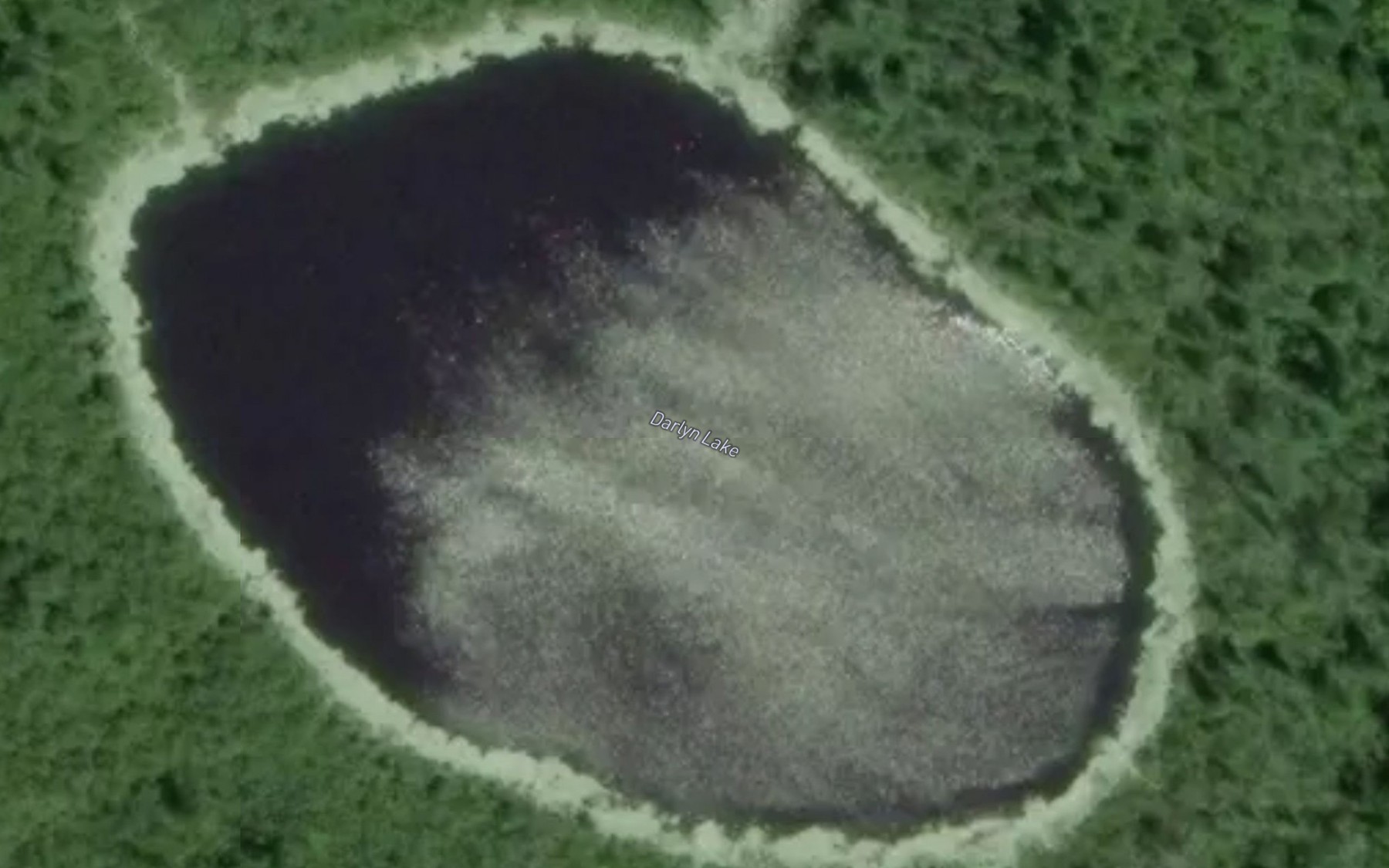 Satellite map of the Darlyn Lake