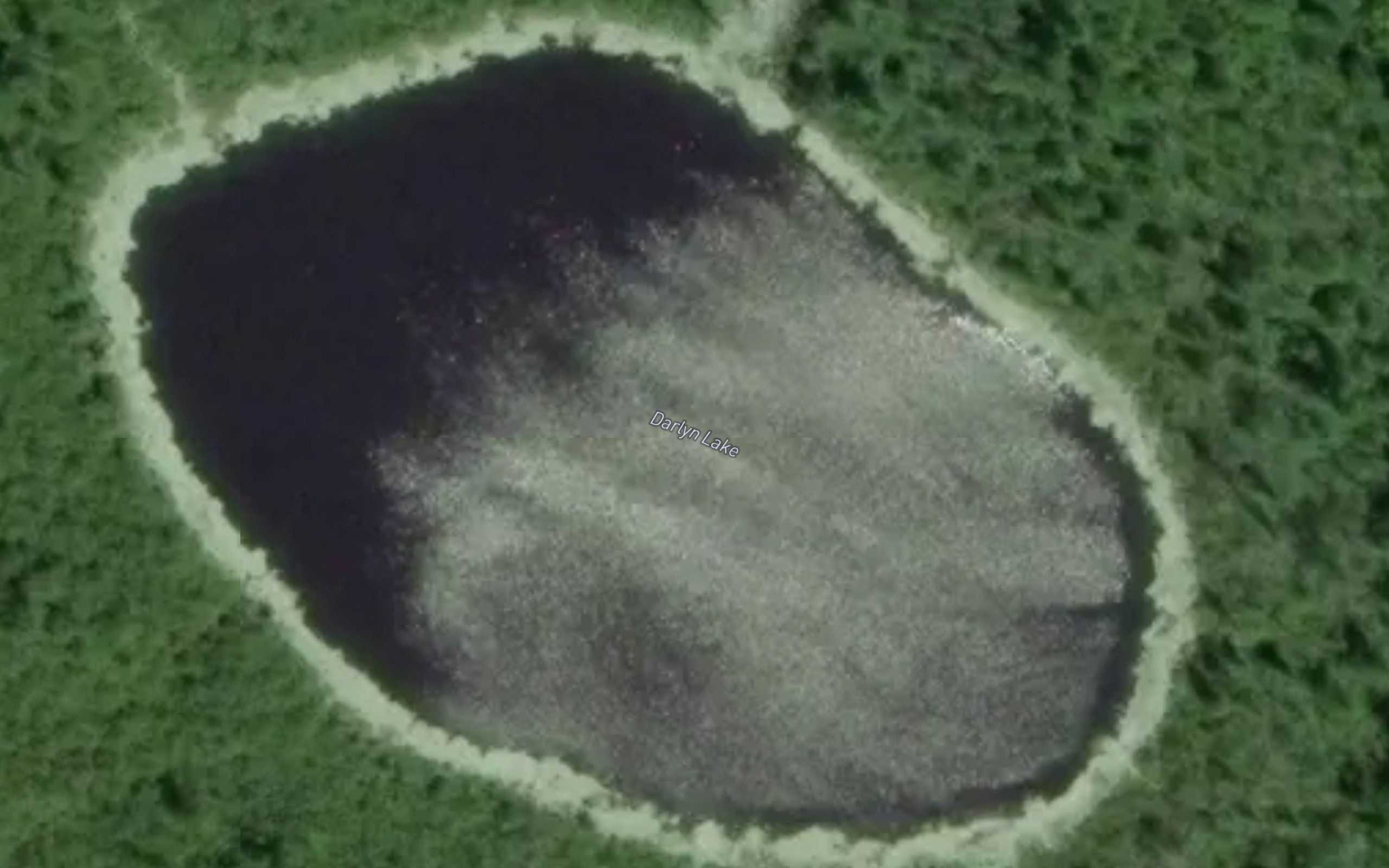 Darlyn Lake
