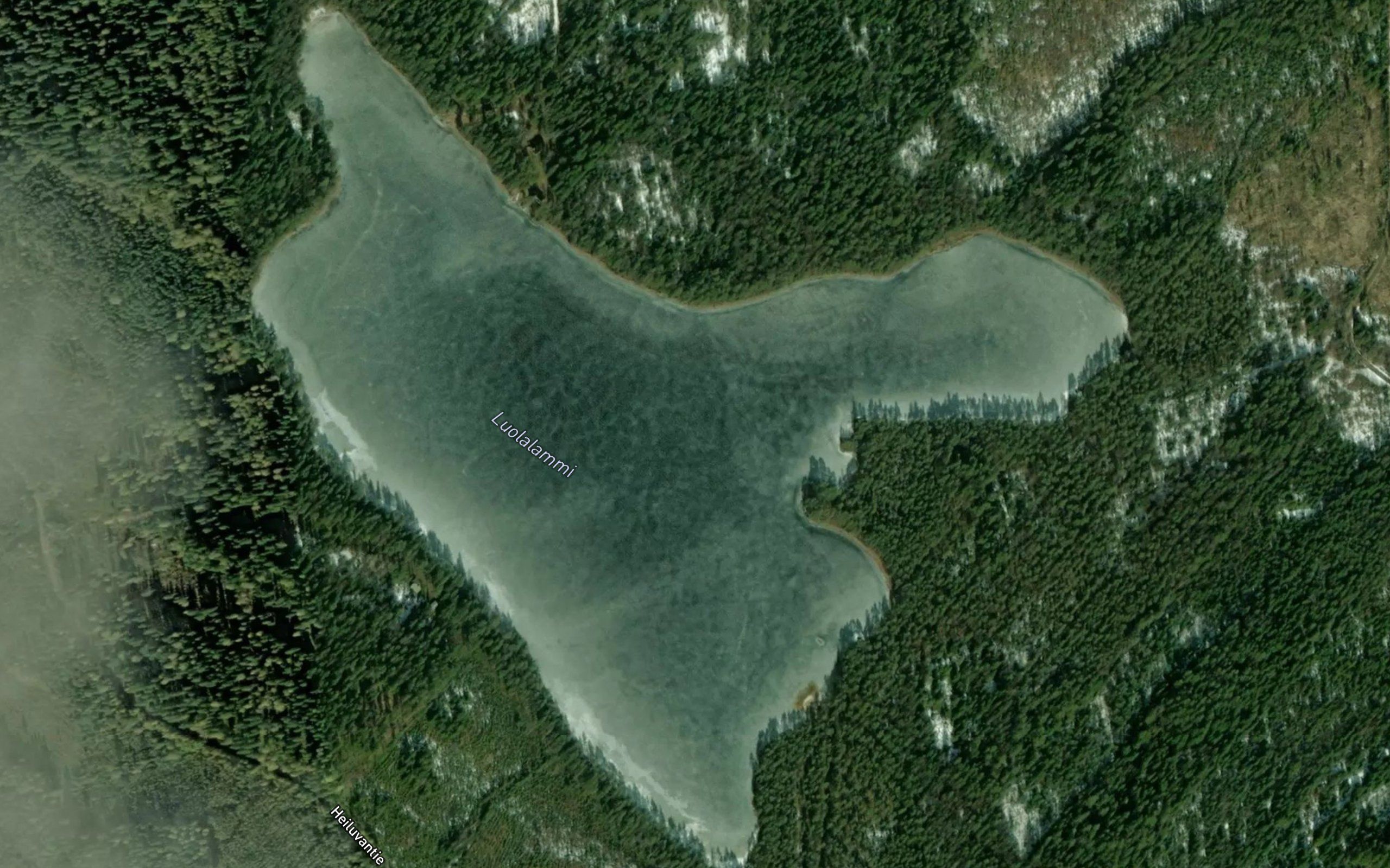 Luolalammi