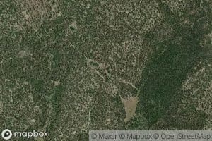 Deer Scaffold Spring