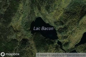 Lac Bacon