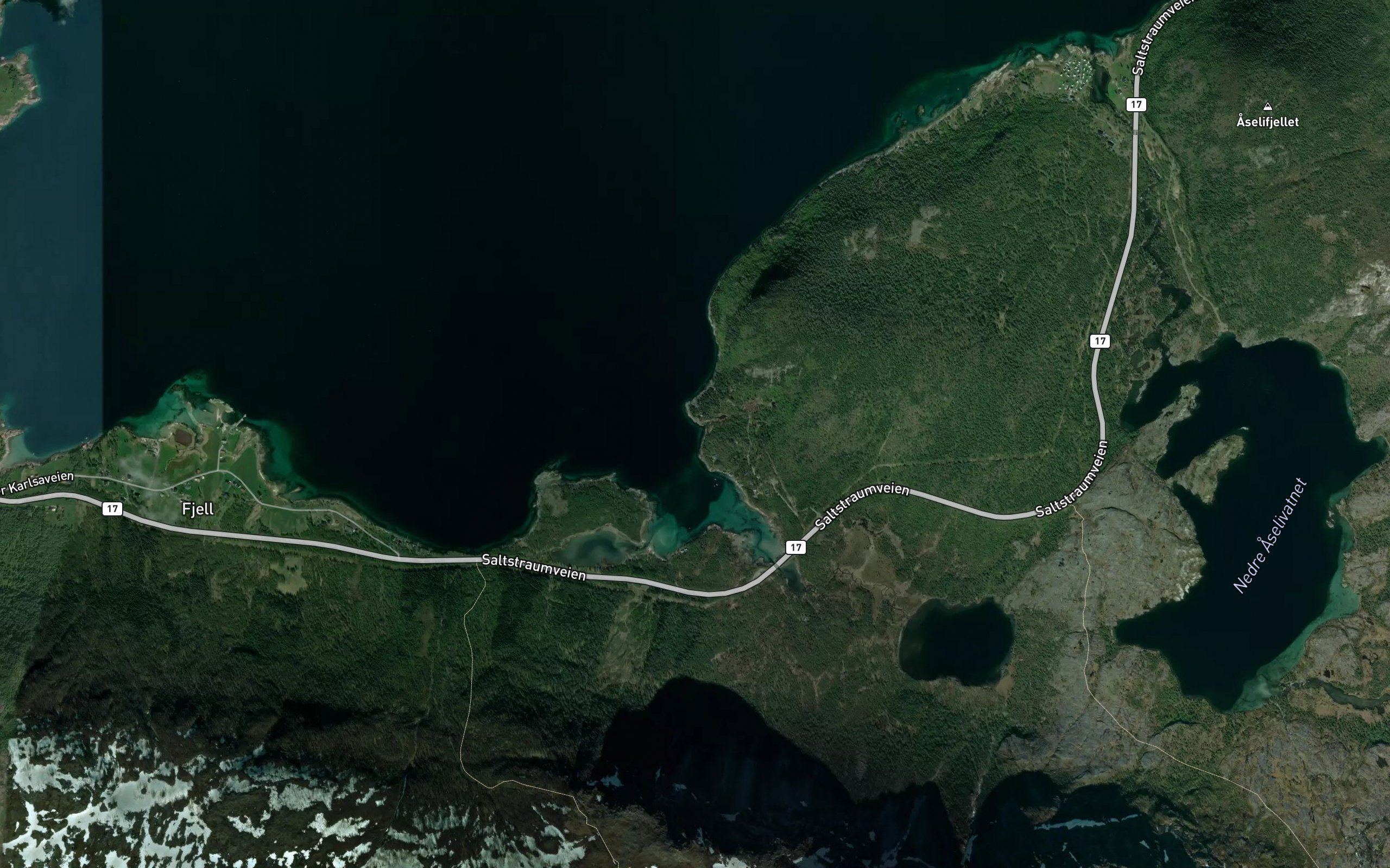Mikkelosen