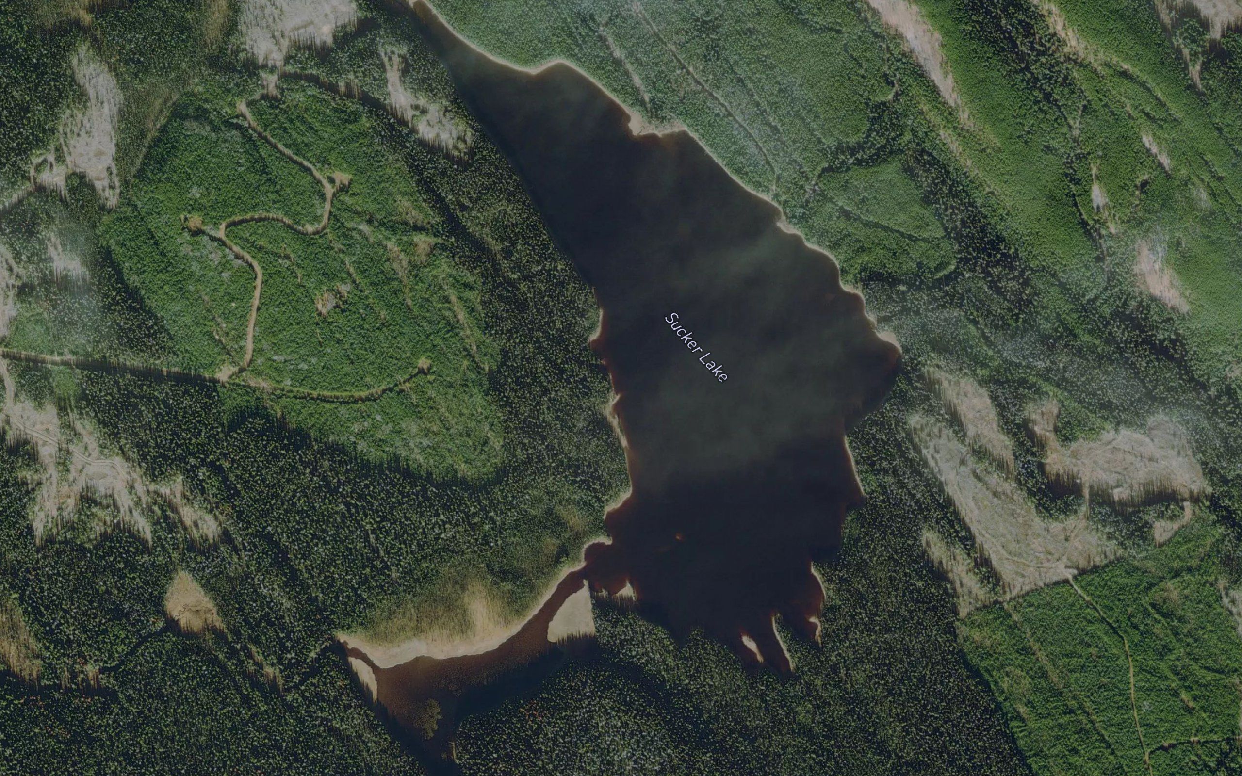 Sucker Lake