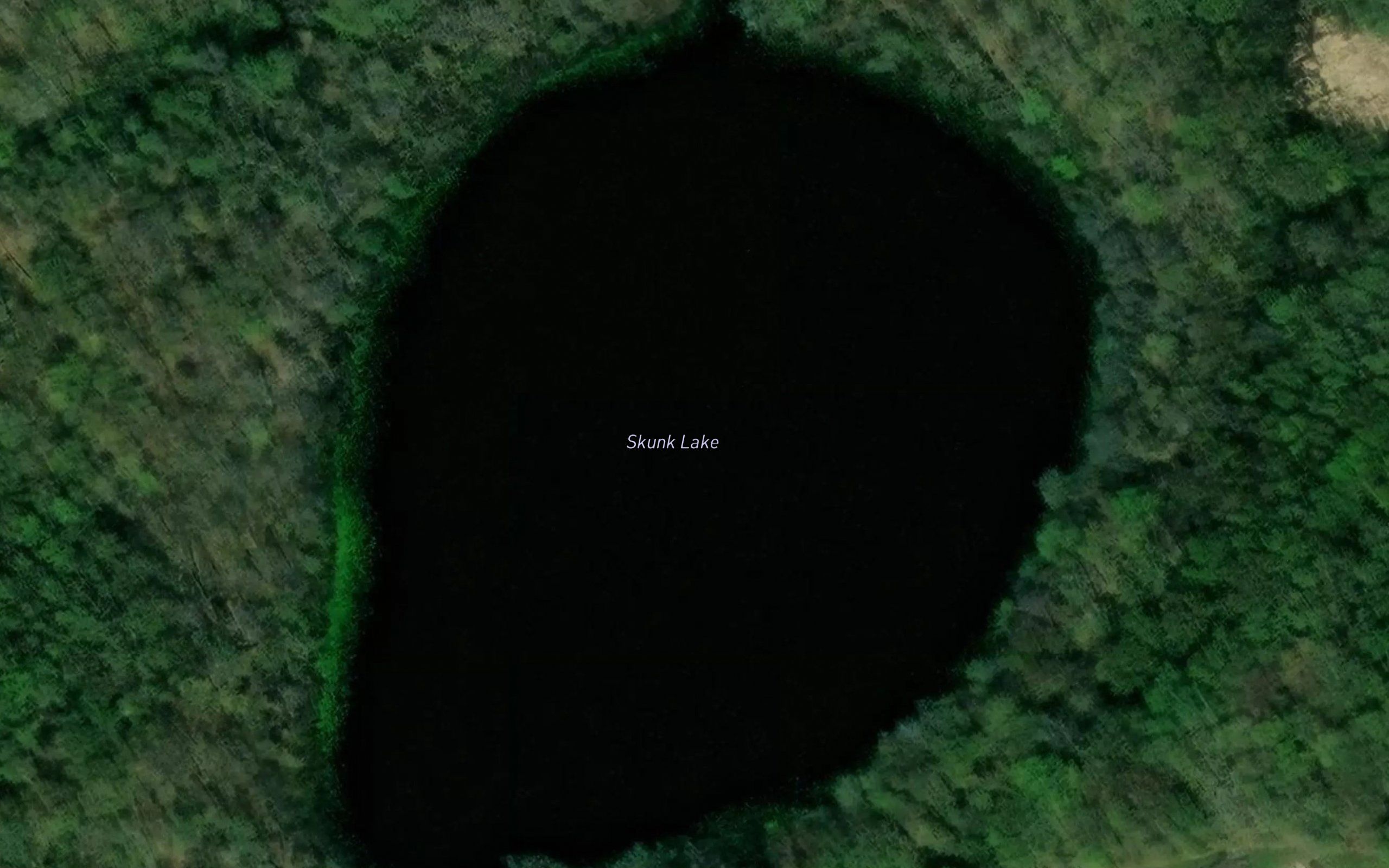 Skunk Lake