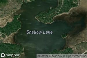 Shallow Lake