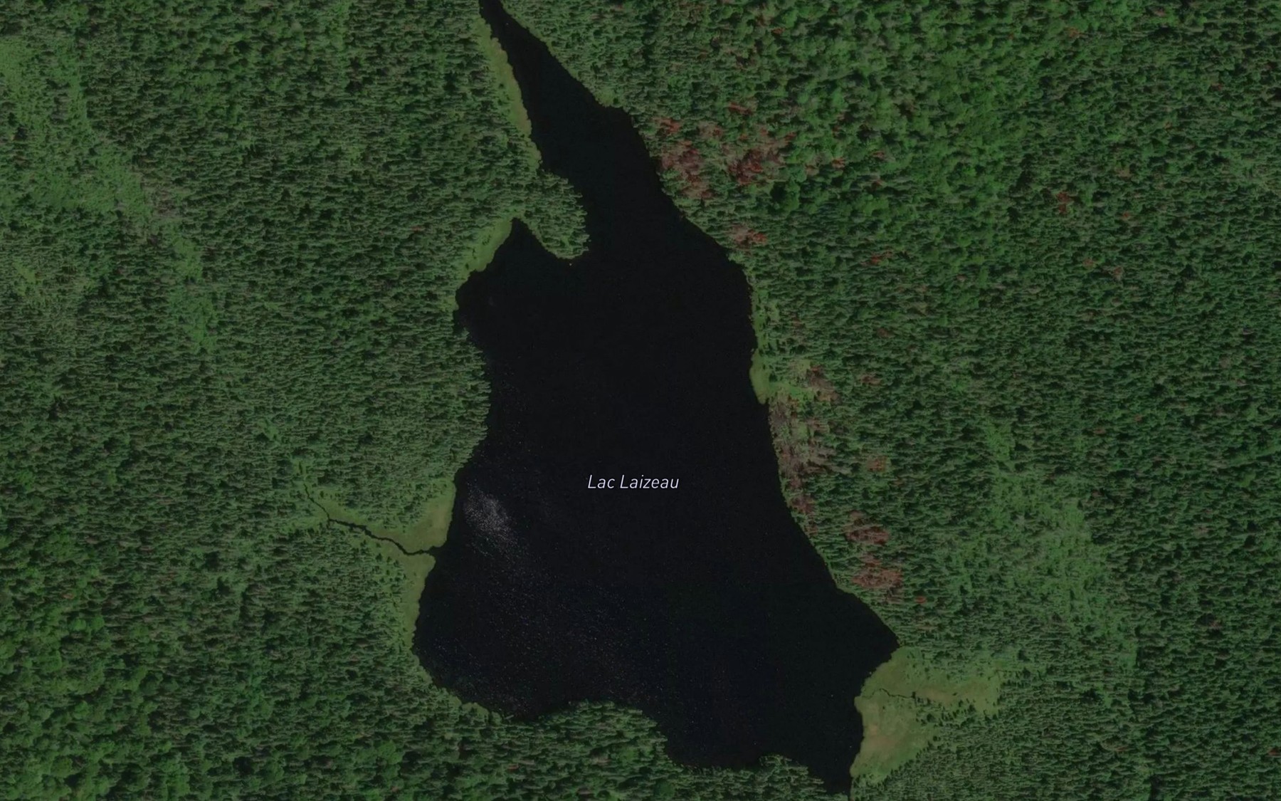 Satellite map of the Lac Laizeau