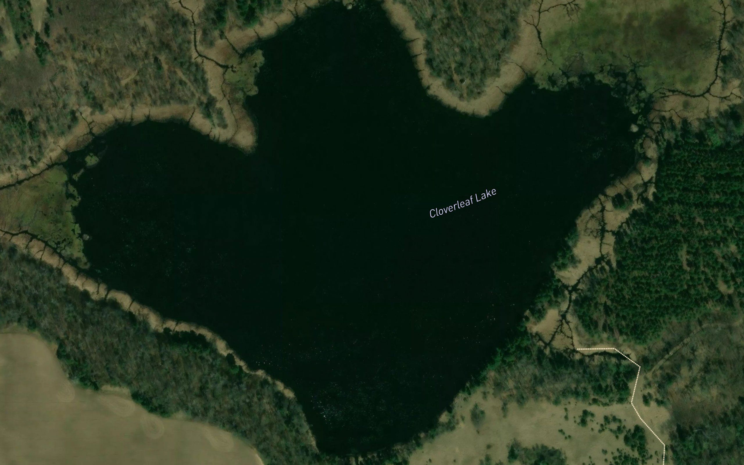 Cloverleaf Lake