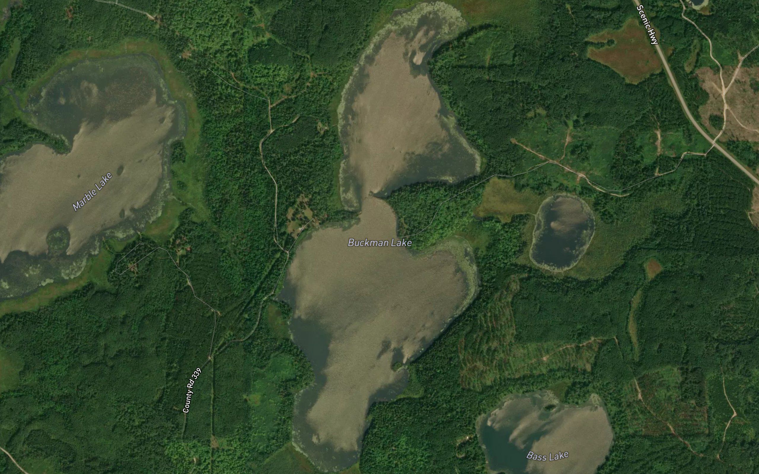 Buckman Lake