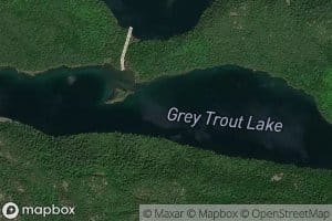 Grey Trout Lake