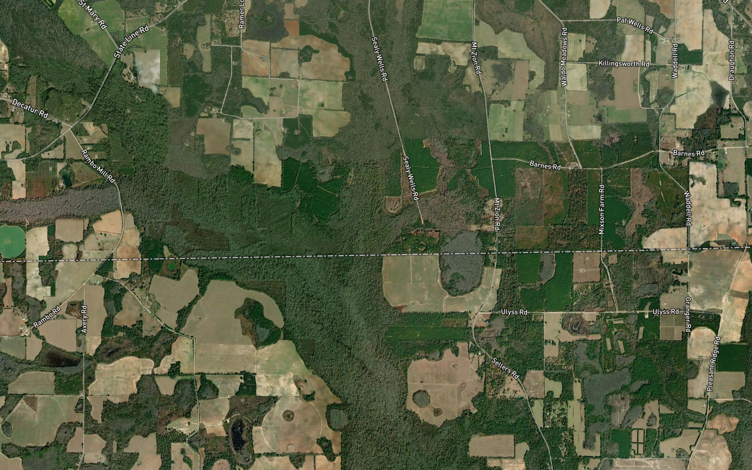 Boggy Creek