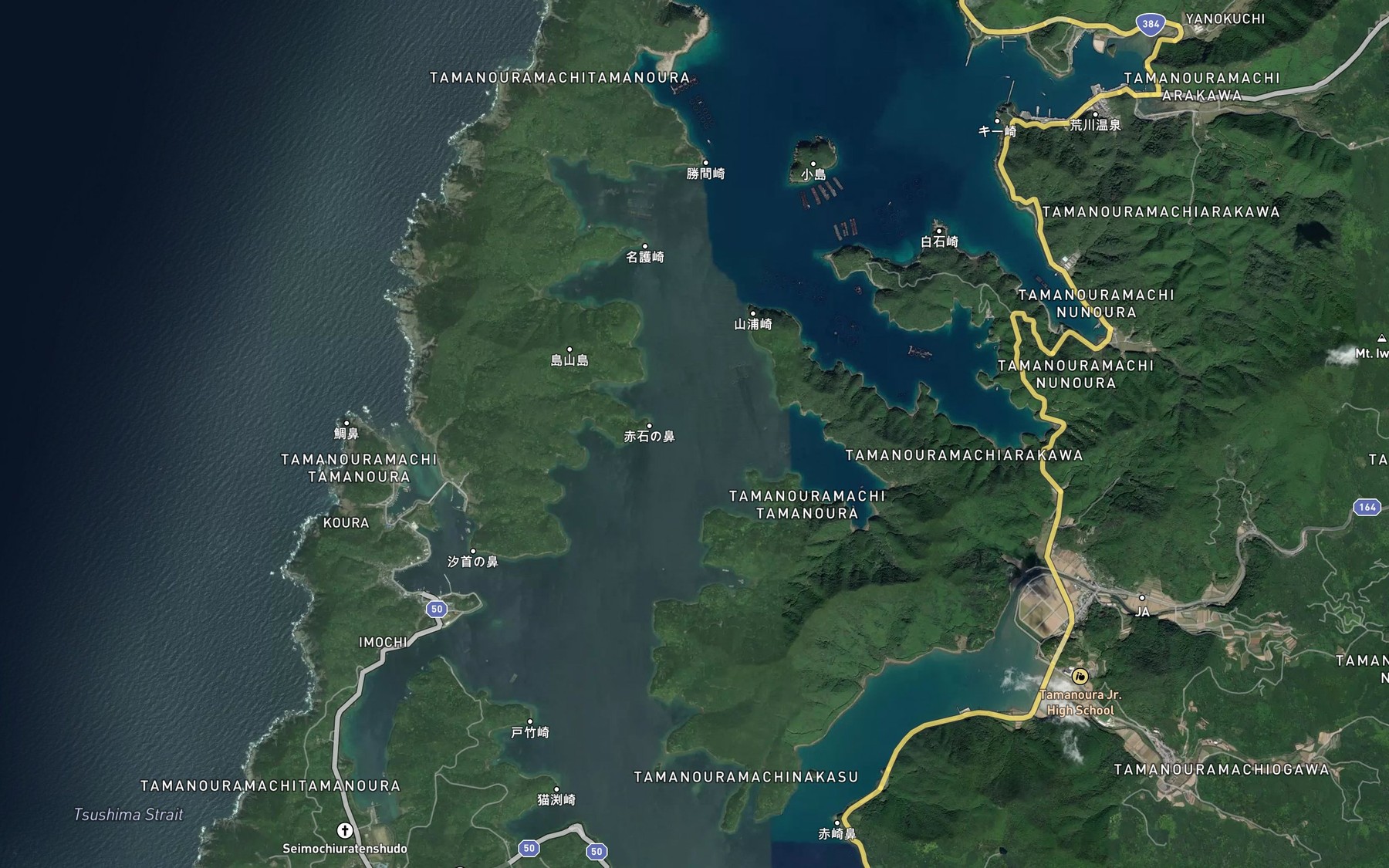 Satellite map of the Tamanoura Wan