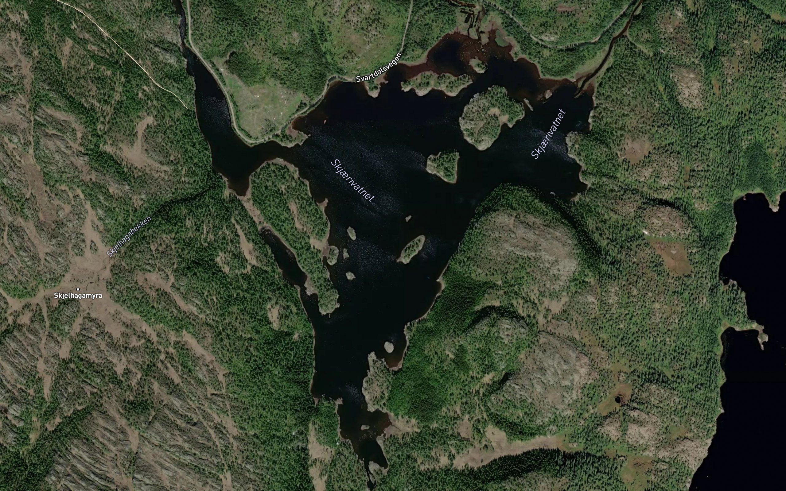 Skjerivatnet