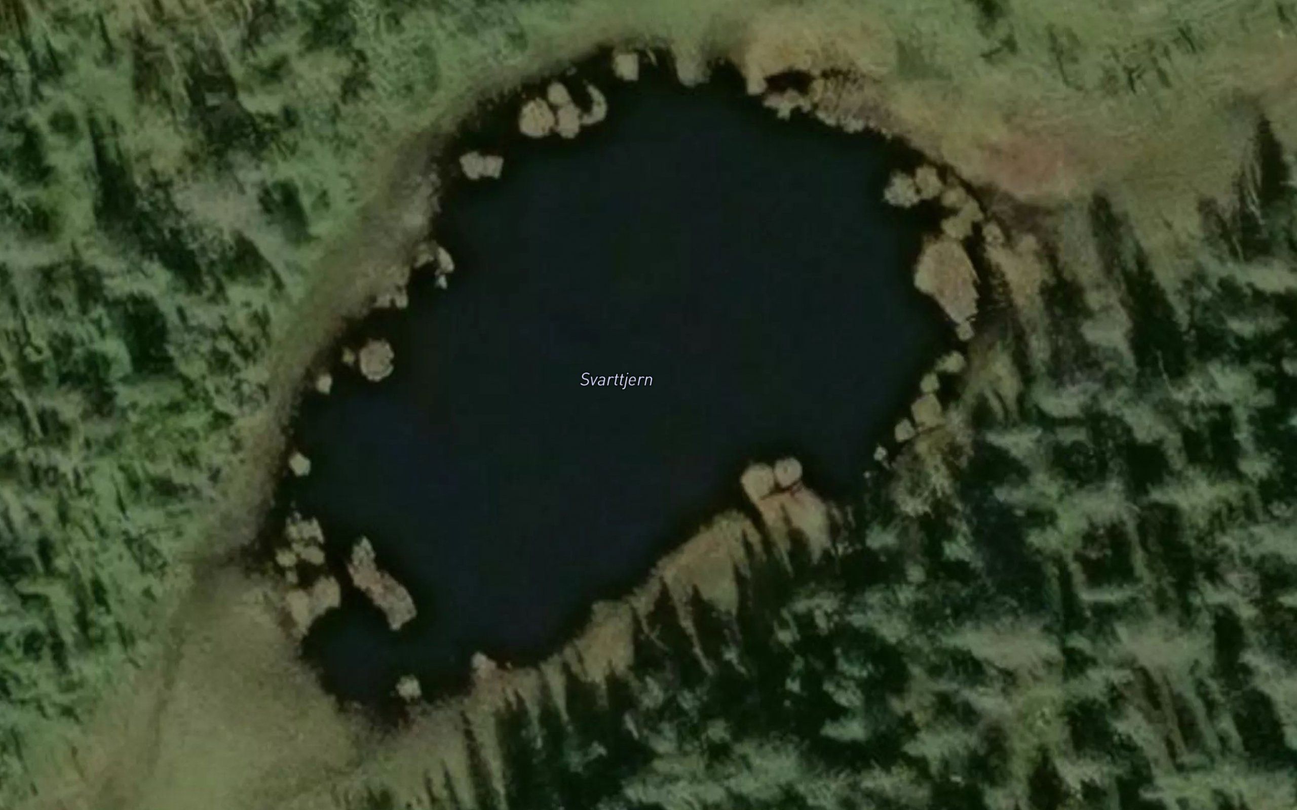 Svarttjern